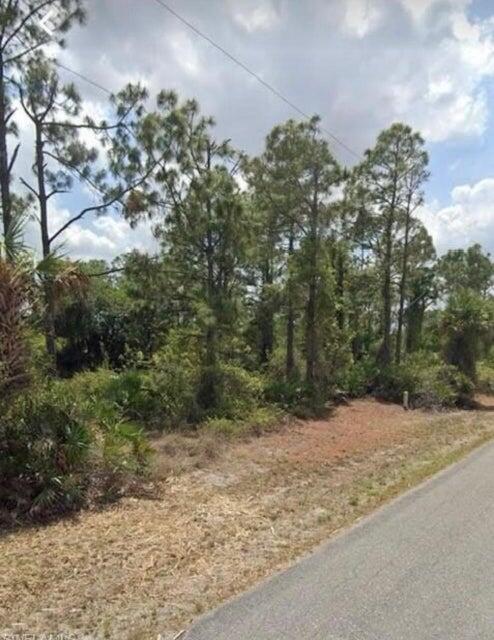 Lehigh Acres - Land