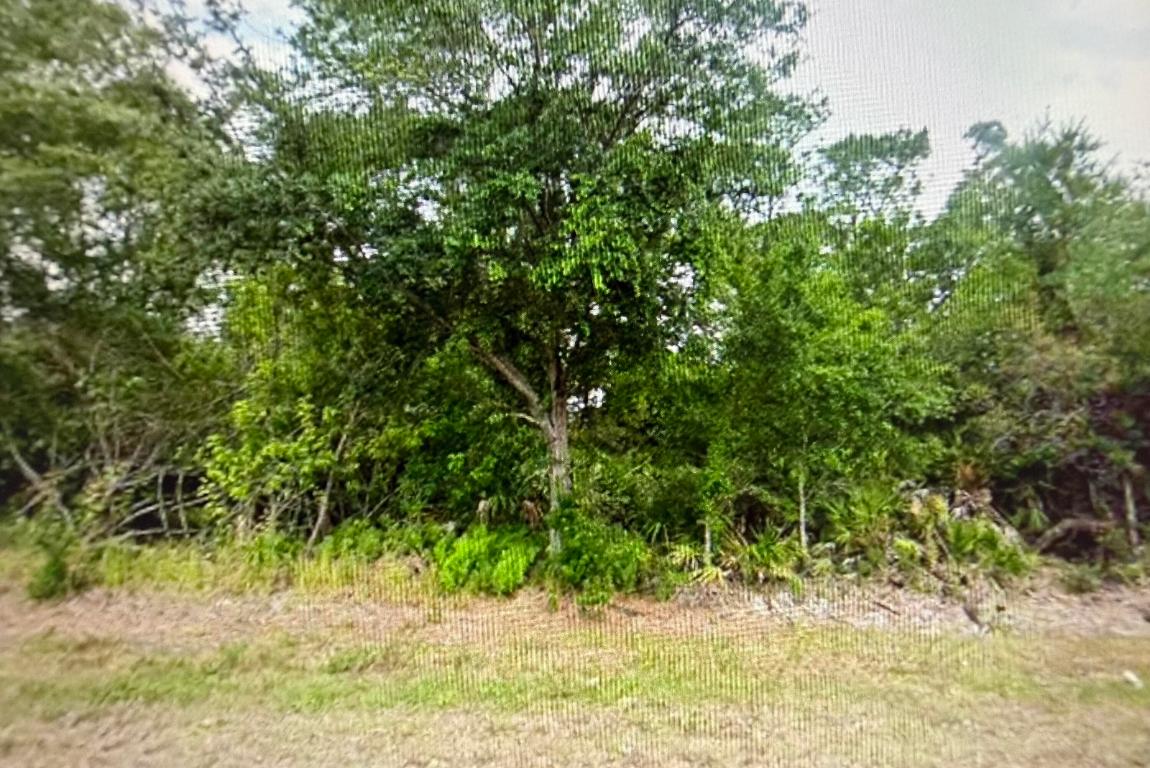 Land For Sale in Sebring FL. Paved road.