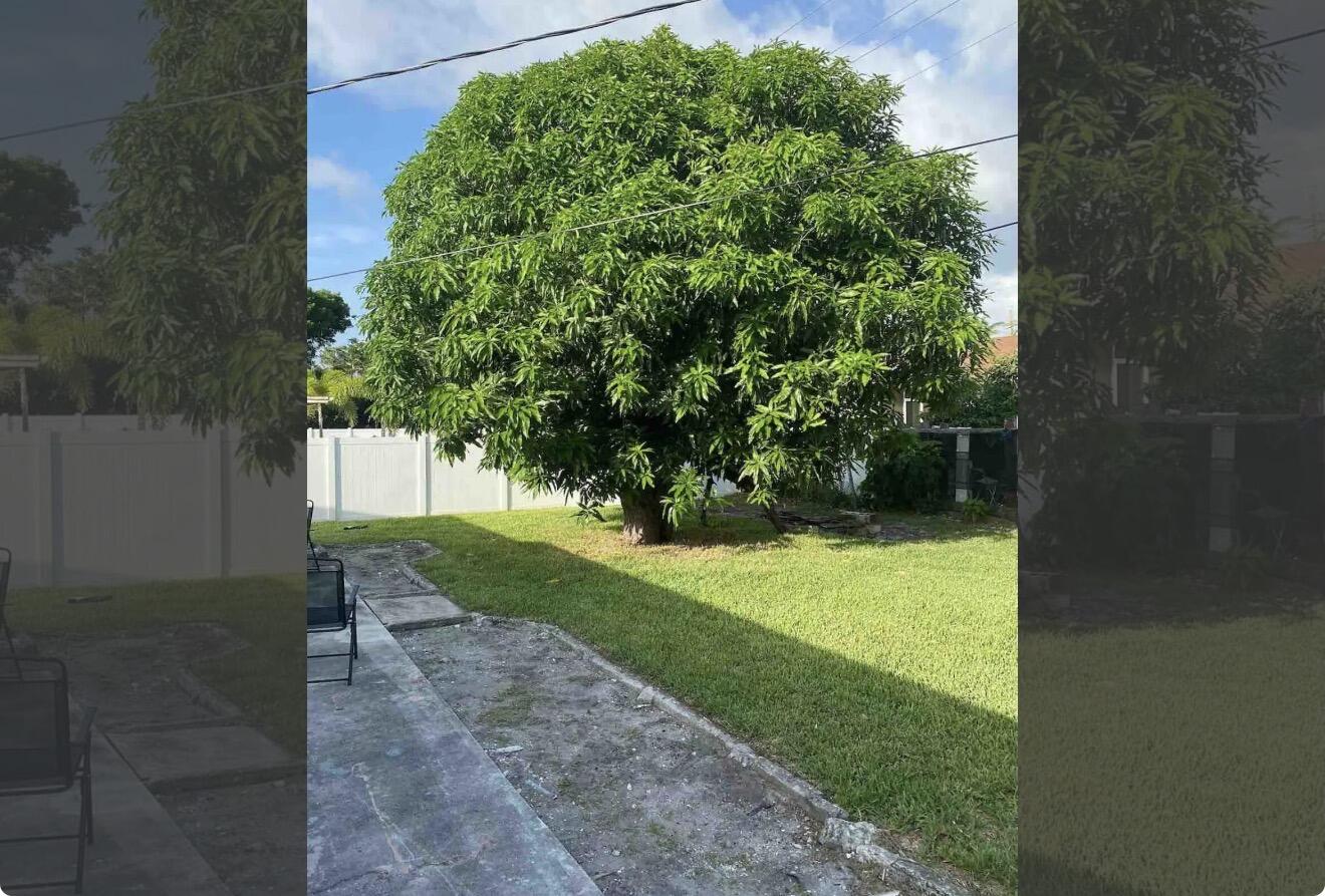 BOCA WOODS - Residential Lease
