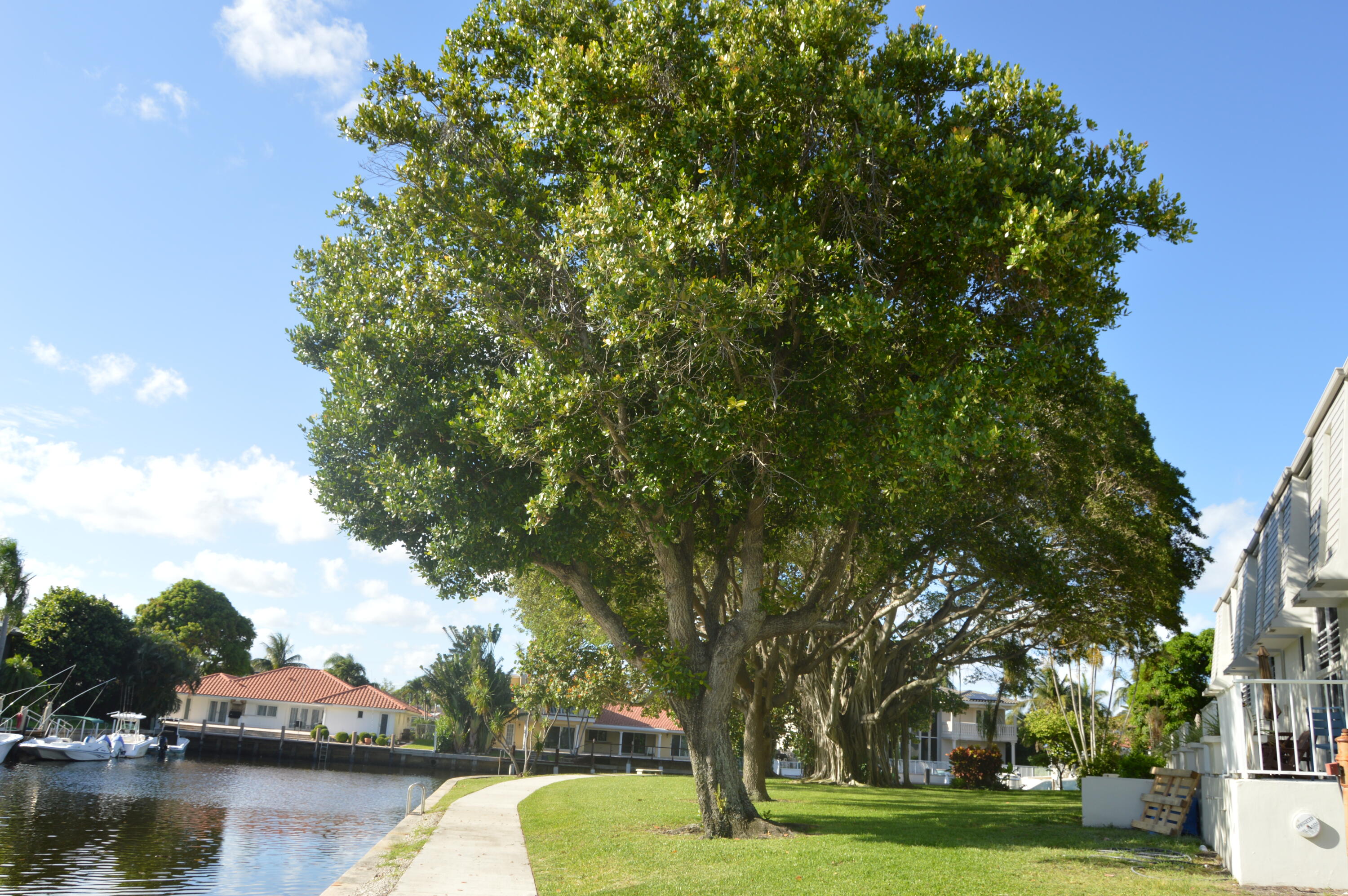 FRENCH VILLAGE CONDO - Residential