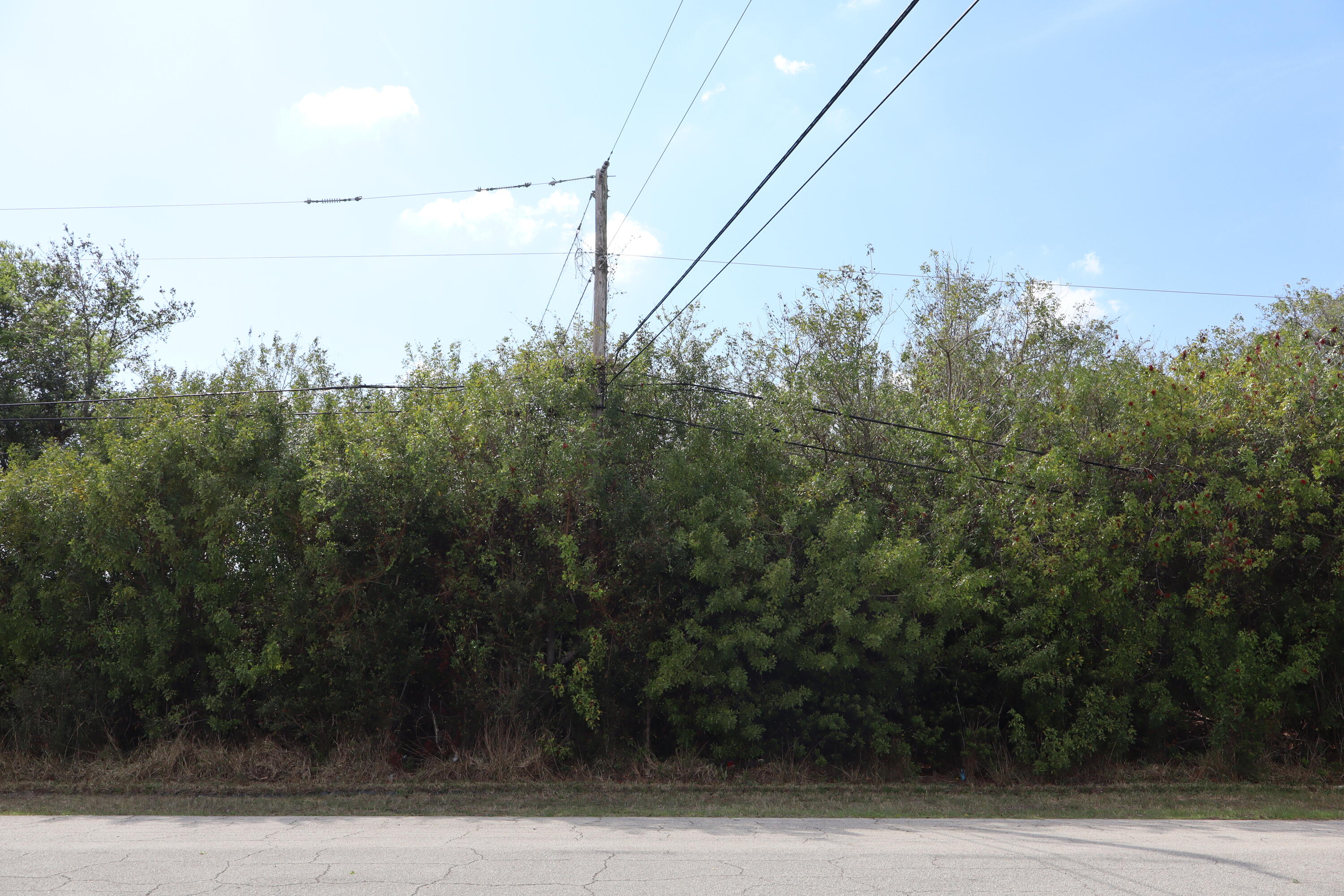 Residential lot that is conveniently situated near the Turnpike, I95 and Becker Rd., now available in the flourishing Port St. Lucie community, surrounded by single family homes, with No HOA! This is the perfect spot for your new construction home or buy and hold for future use. Close to shopping, multiple dining options and parks. Only a half hour drive to the beach. Water, sewer, and electric available. Environmental Assessment performed April, 2026 shows one Tortoise Burrow, seller requesting buyer to remove at buyer's expense.