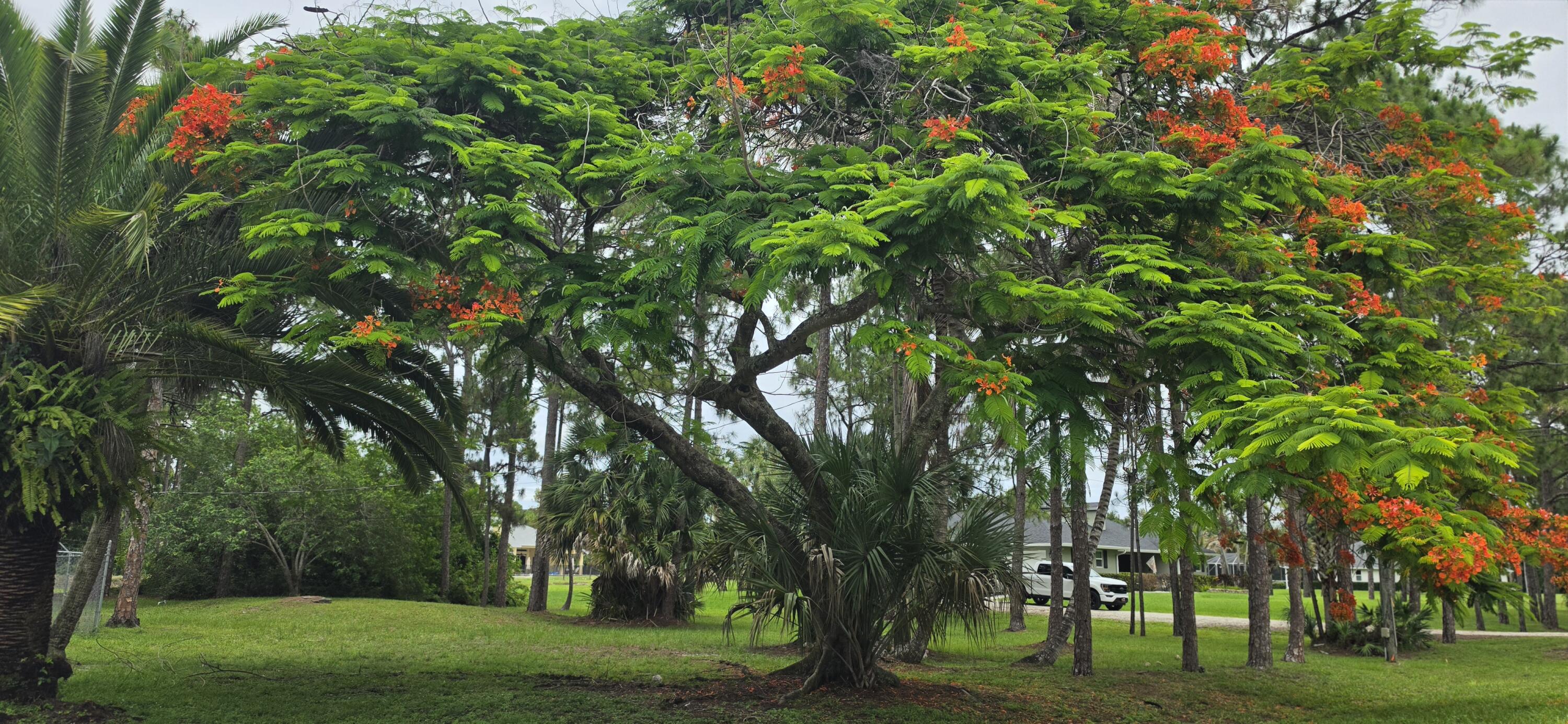 the acreage loxahatchee - Residential