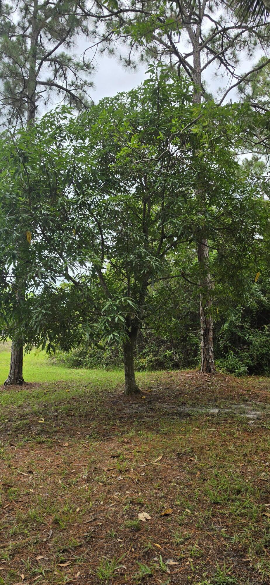 the acreage loxahatchee - Residential