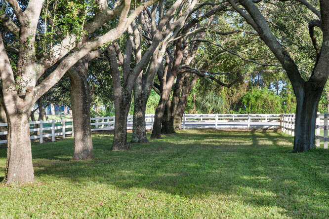 SADDLE TRAIL PARK OF WELLINGTON - Residential