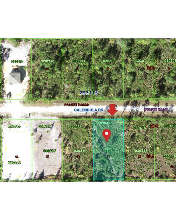 INDIAN LAKE ESTATES UNIT 9 REVISED - Land