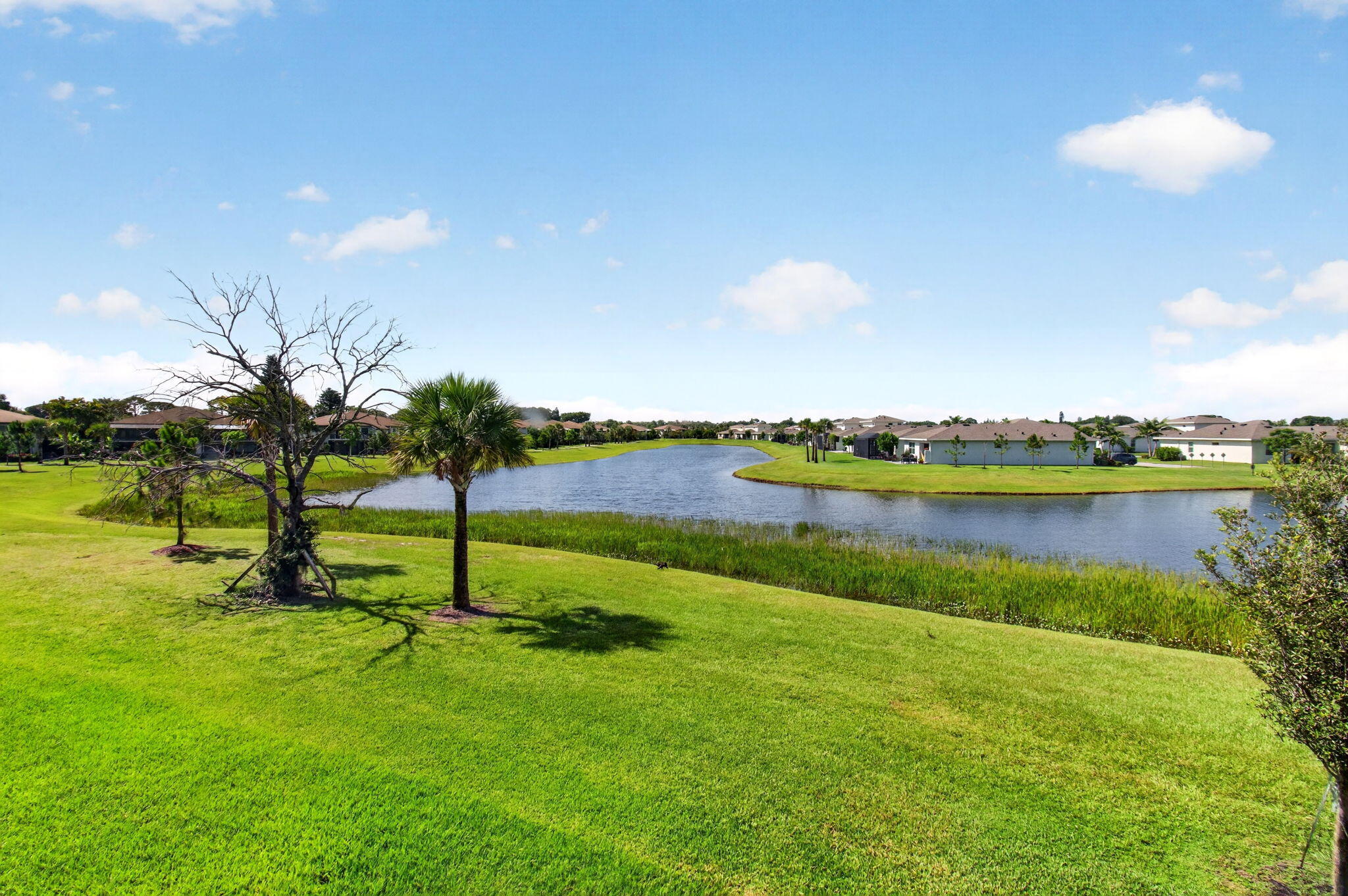 PALM GREENS AT VILLA DEL RAY CONDO - Residential
