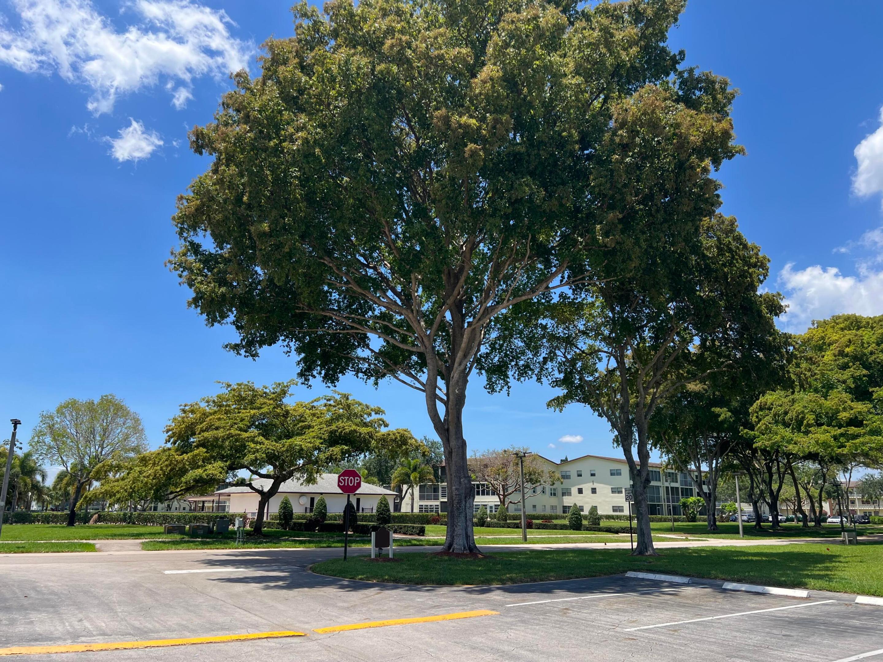 MANSFIELD AT CENTURY VILLAGE CONDO - Residential