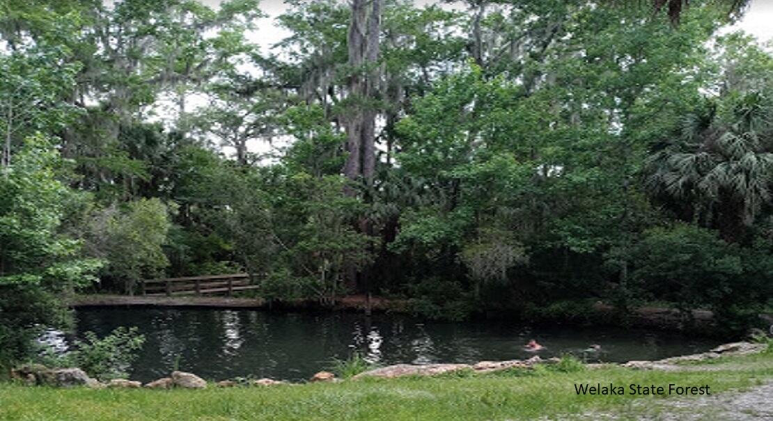 INTERLACHEN VILLAS - Land