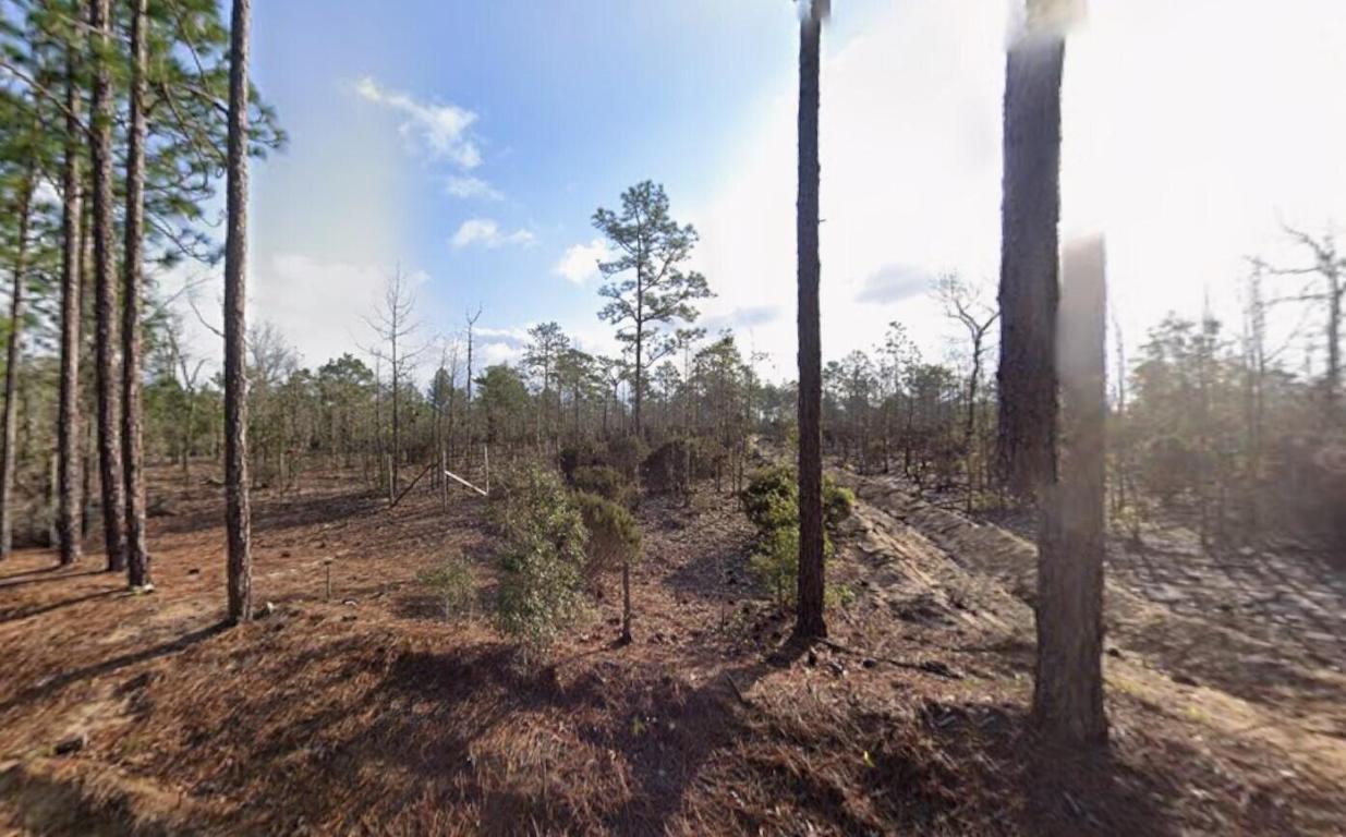Zoned R-2 - Owner Financing available with $1,500 down! - Multi-Lot Packages Available! Zoned R-2 -Zoning Flexibility - Fantastic opportunity to own a 0.24-acre lot in Interlachen Villas. Zoned to allow tiny homes, mobile homes, modular, and site-built residences of any size, giving you full freedom to build. Owner financing is available, and the seller owns multiple lots across Putnam County—perfect for investors or developers seeking package deals. Surrounded by lakes and natural beauty with easy access to Palatka, Gainesville, and Ocala. A great investment or future homesite in a growing area! for directional purposes use 103 Tulip Buyer to verify all property details including zoning, utilities, land use, and building requirements. All information deemed reliable but not guaranteed.