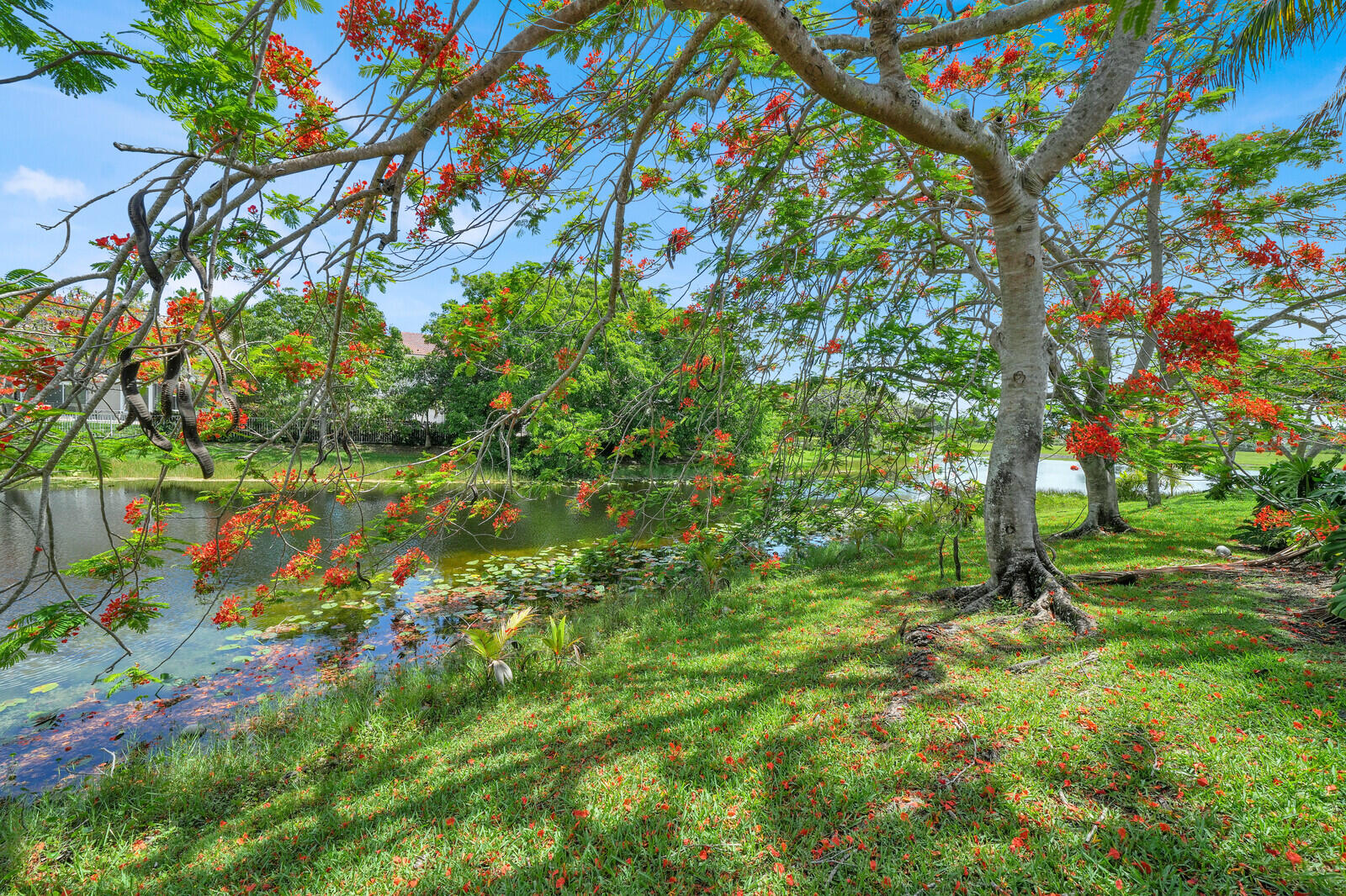 Heron Bay Three 159-41 B - Residential