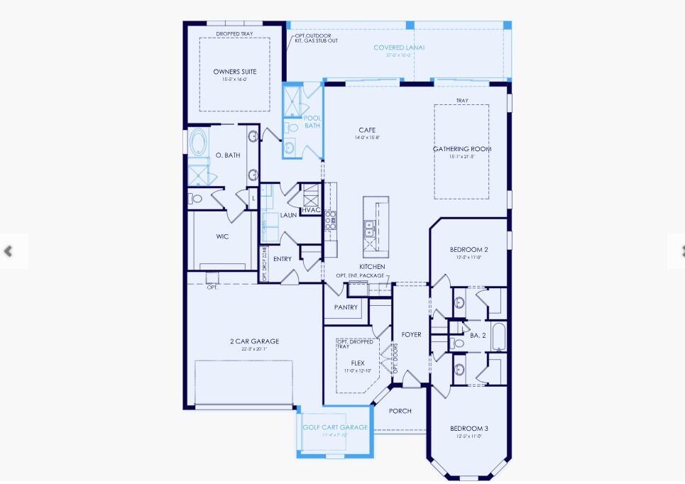 AVONDALE AT AVENIR - Residential