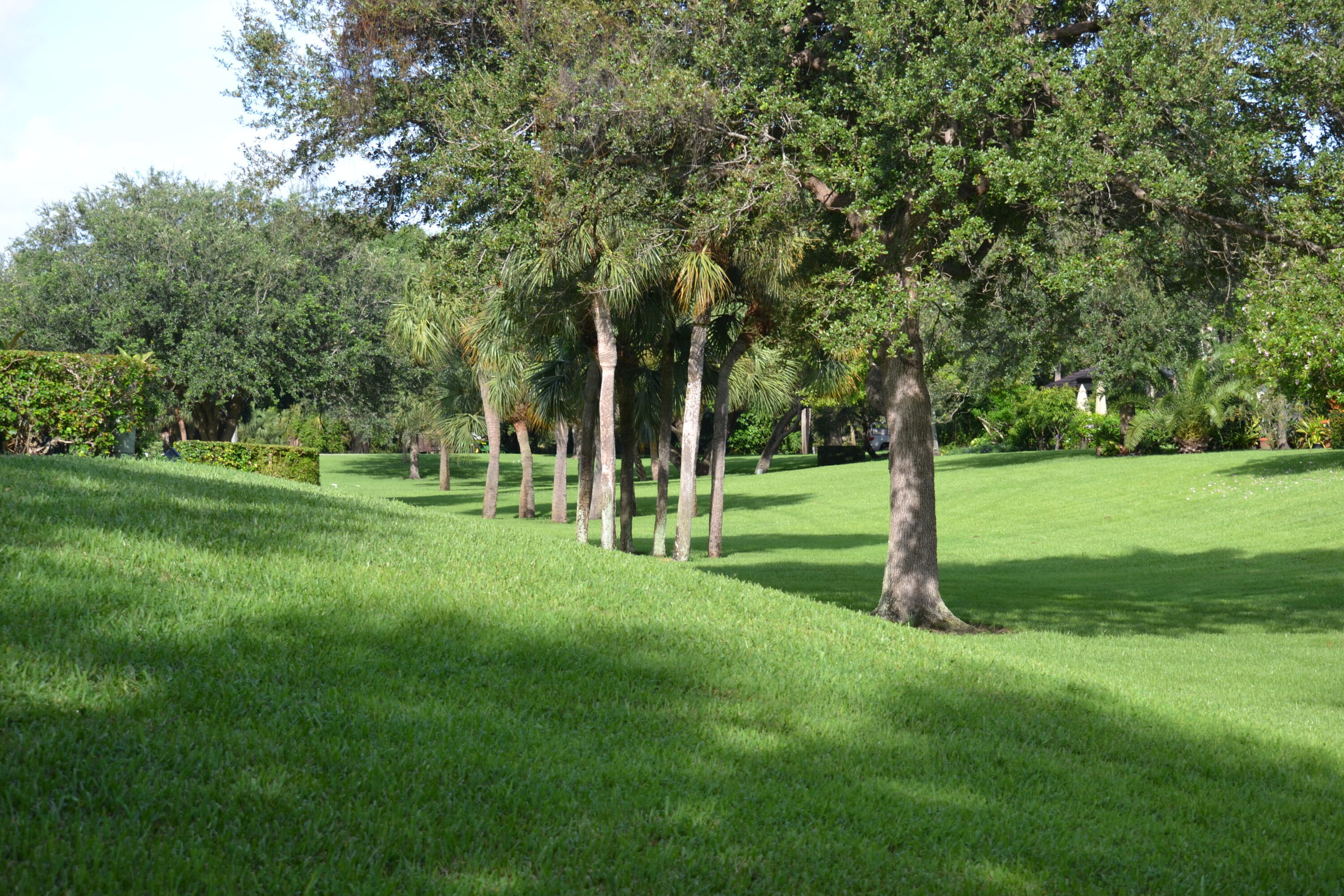 PARK AT WINDWOOD CONDO - Residential
