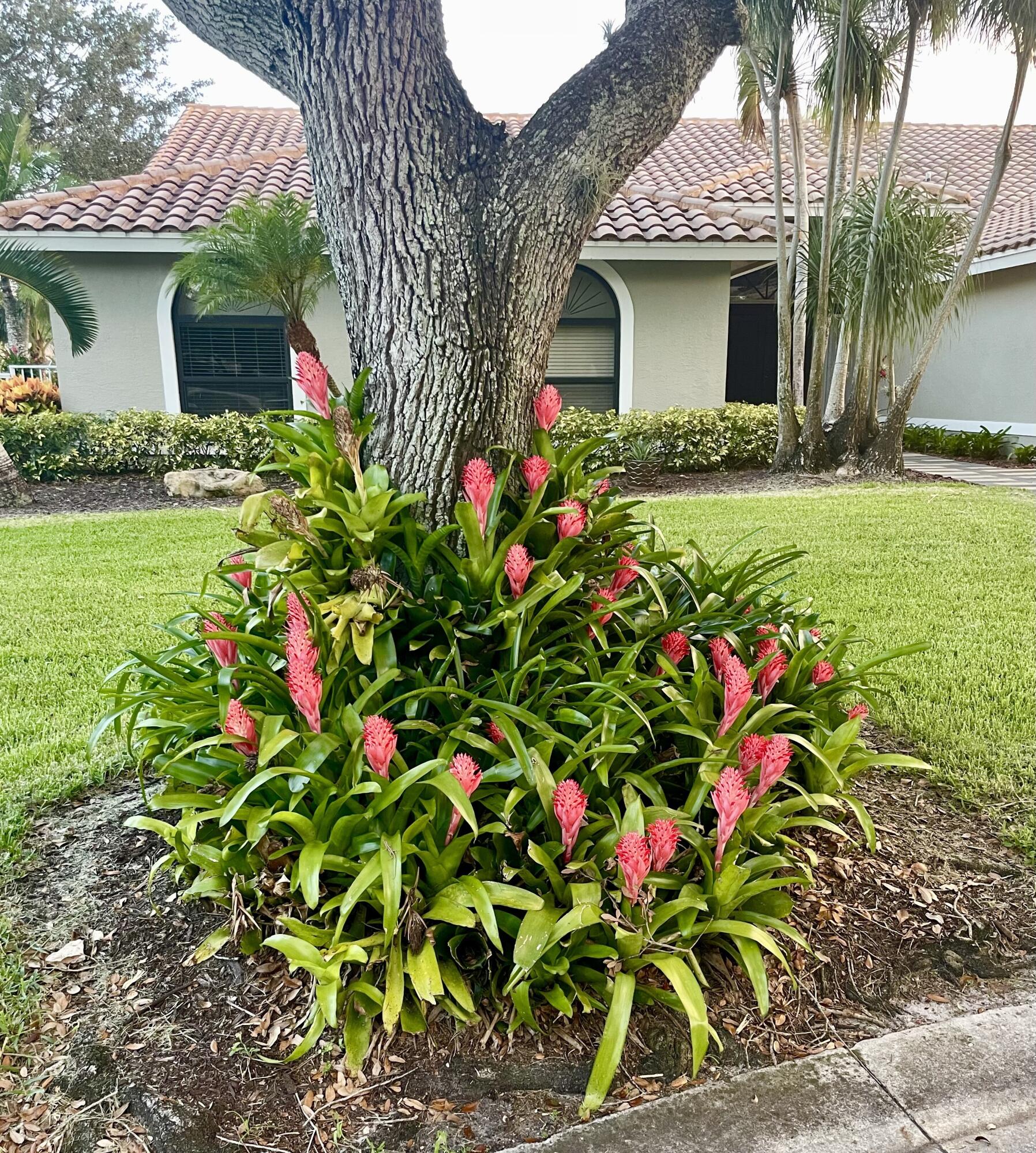 NORTH SPRINGS - Residential