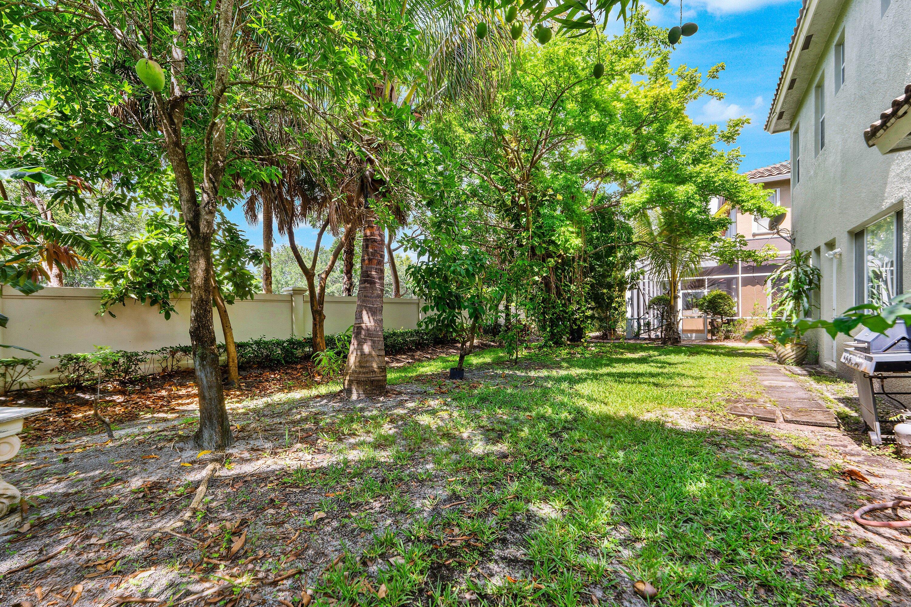 TERRACINA JOHNSON PROPERTY - Residential