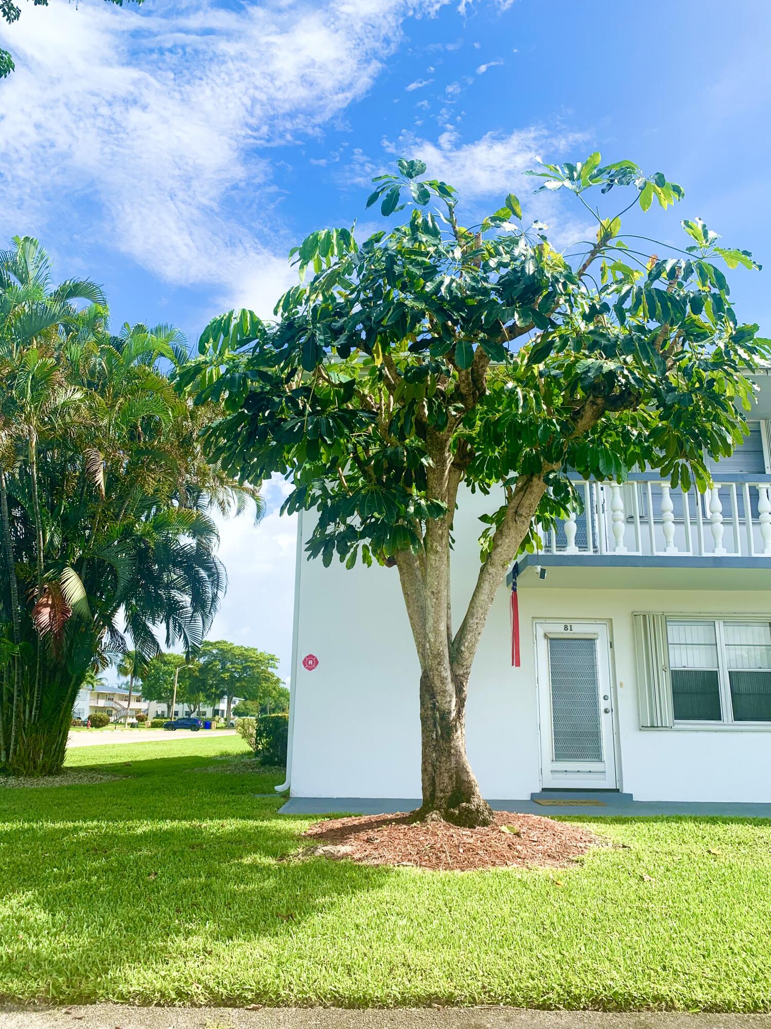 Welcome to this charming rare 1st floor corner,  2 bedroom, 2 bath unit nestled in Century Village.  Updated kitchen & bathrooms w/ a walk-in shower- -New hot water heater 2/2024 -New electrical panel 10/2025 -2 renovated bathrooms 8/2023 -New shades on all windows 3/2024 -New refrigerator 2024. Master bedroom has a walk-in closet with glass sliding doors opened to a beautiful lanai with extended outside patio pavers overlooking beautiful shady trees. Friendly & Financially sound bldg. Community has a plethora of amenities. Proximity to PBI, Beaches, Downtown, Turnpike/I95
