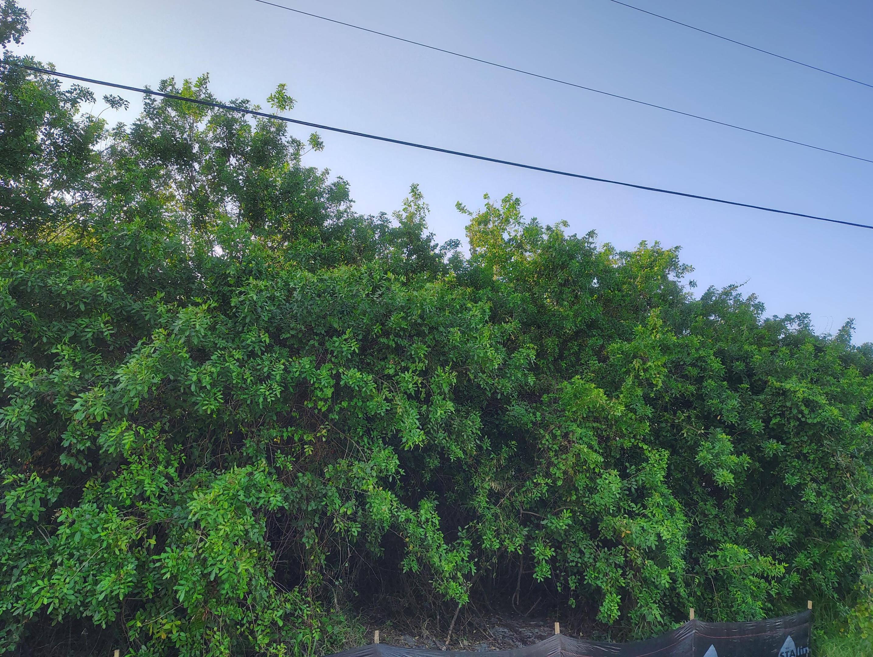 PORT ST LUCIE SECTIO - Land