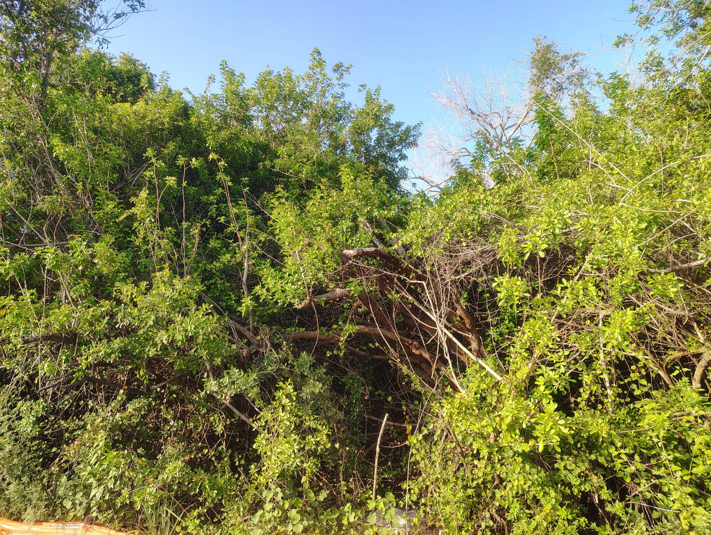 PORT ST LUCIE SECTIO - Land