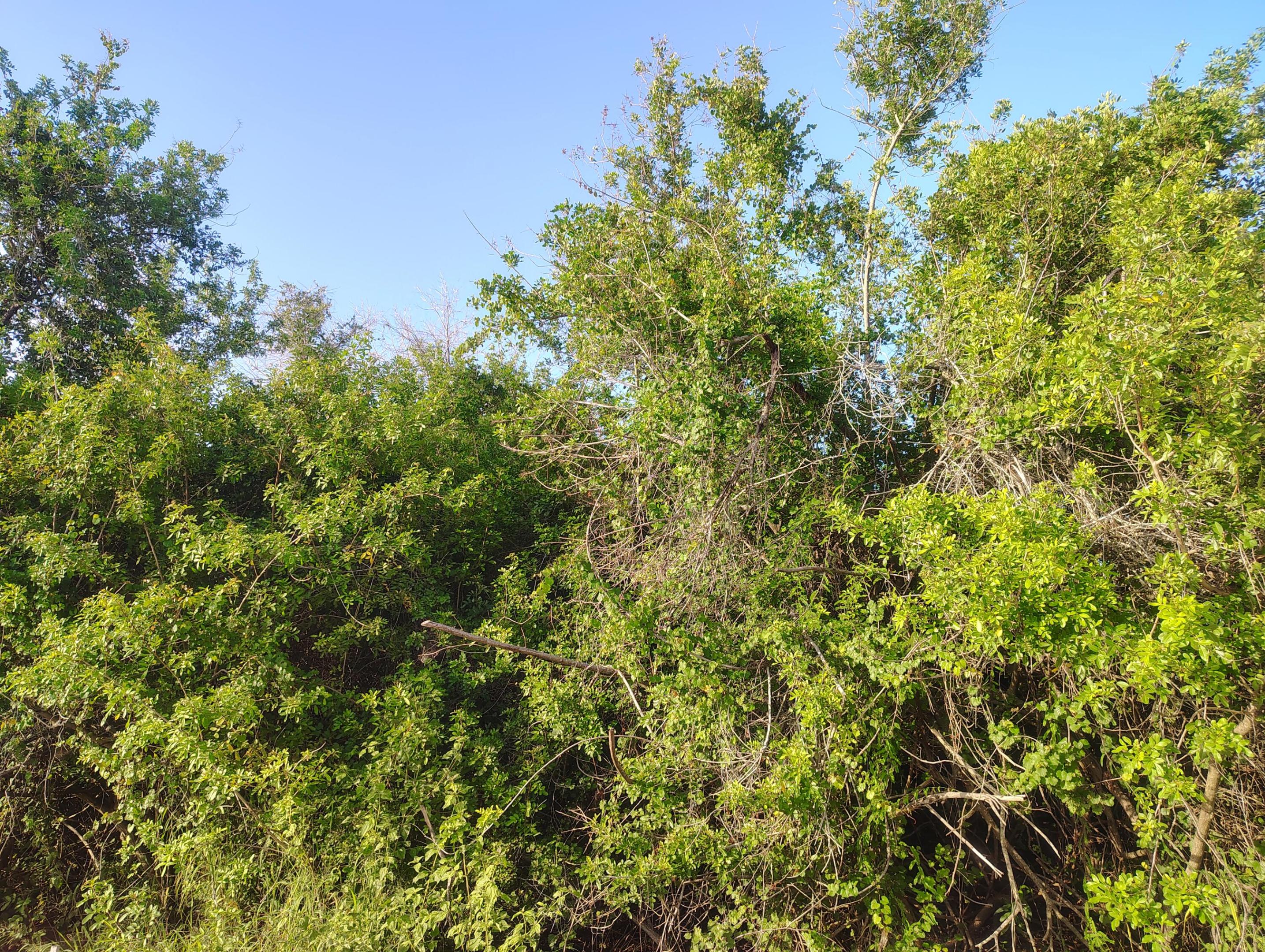 PORT ST LUCIE SECTIO - Land