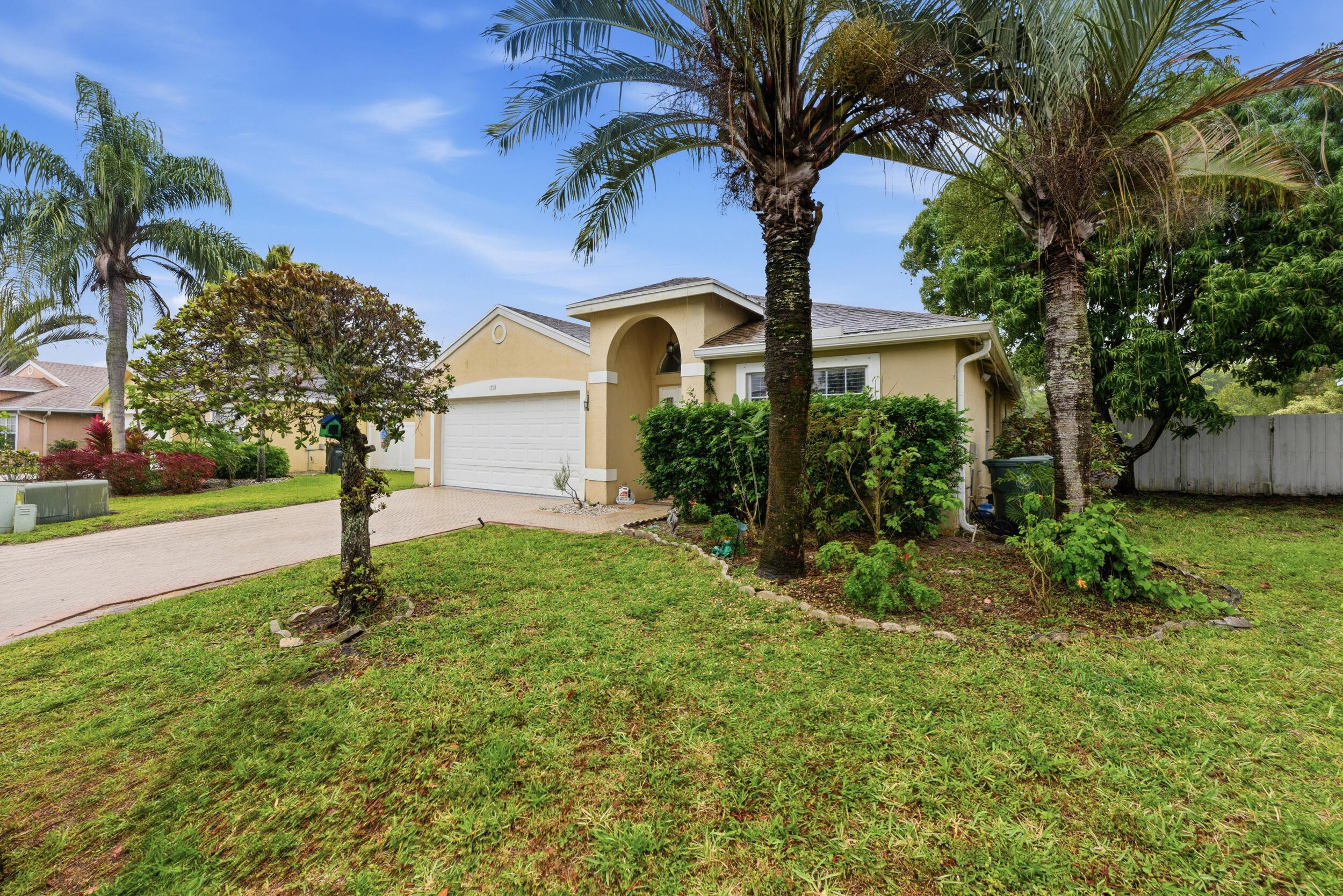 OLIVE TREE PAR 5D - Residential