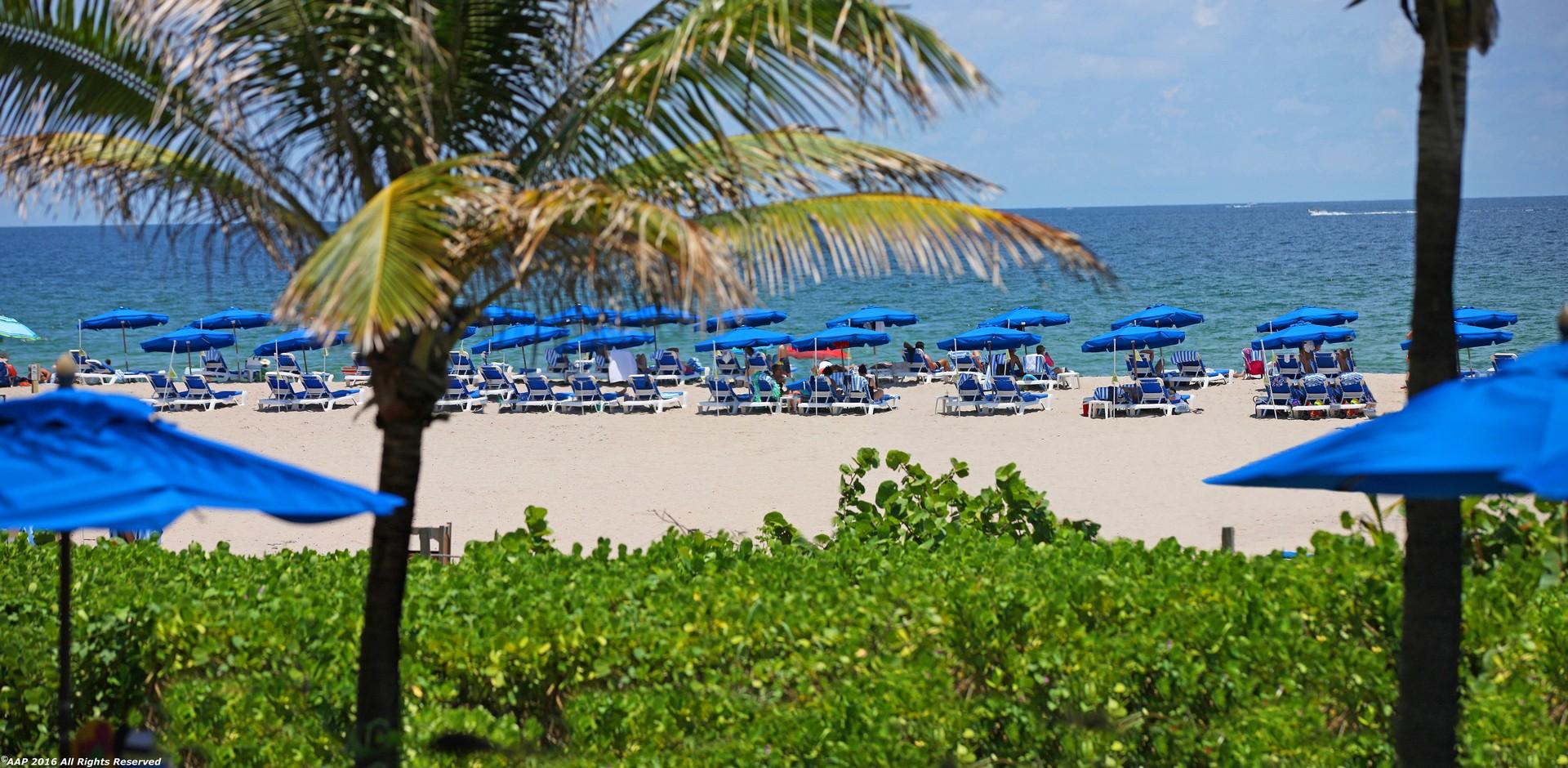 RESORT AT SINGER ISLAND - Residential