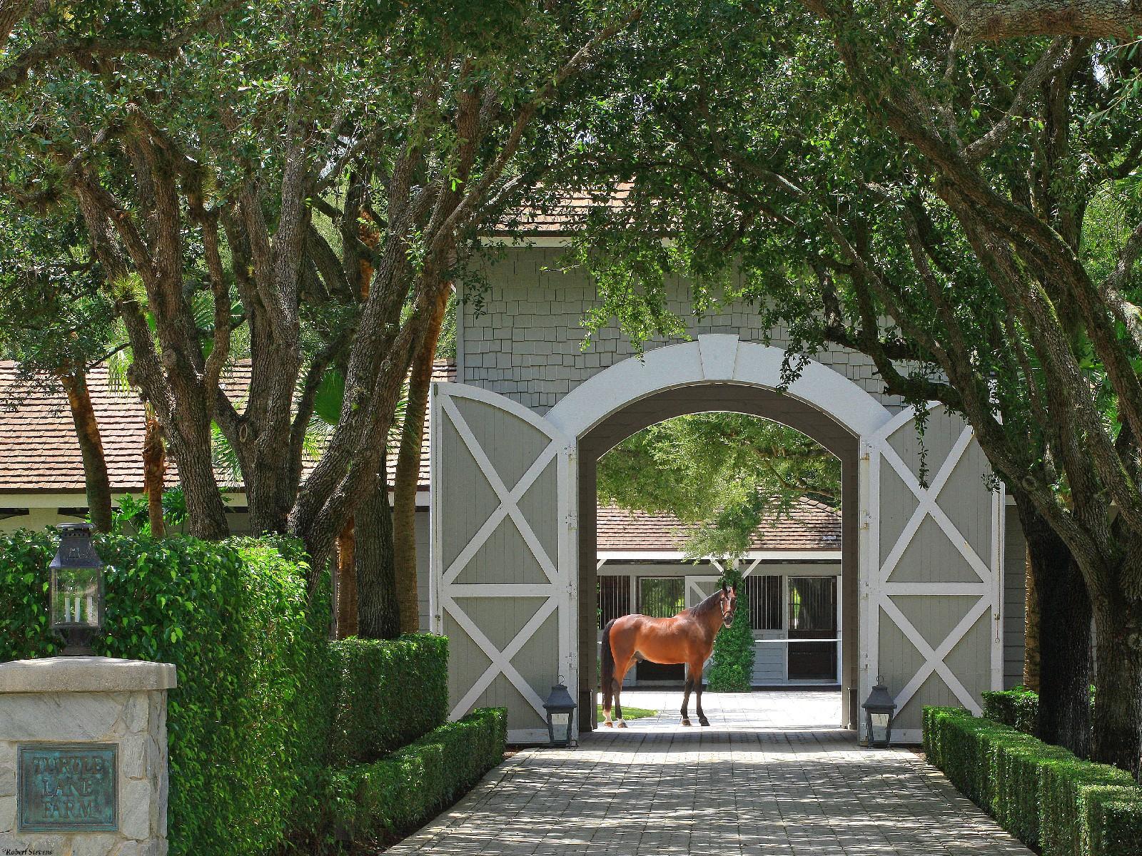 RESORT AT SINGER ISLAND - Residential