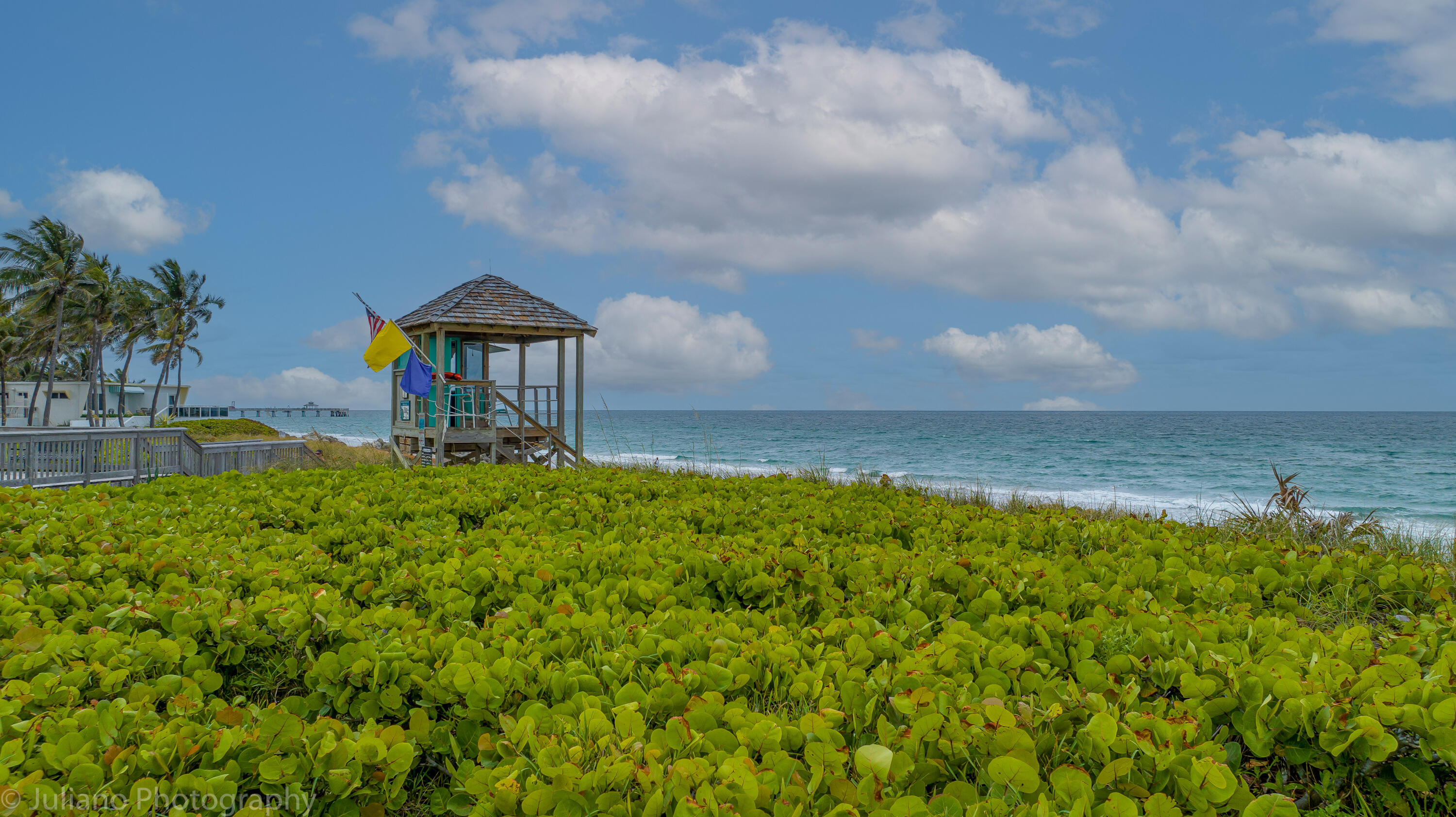 SEA COVE CONDO - Residential
