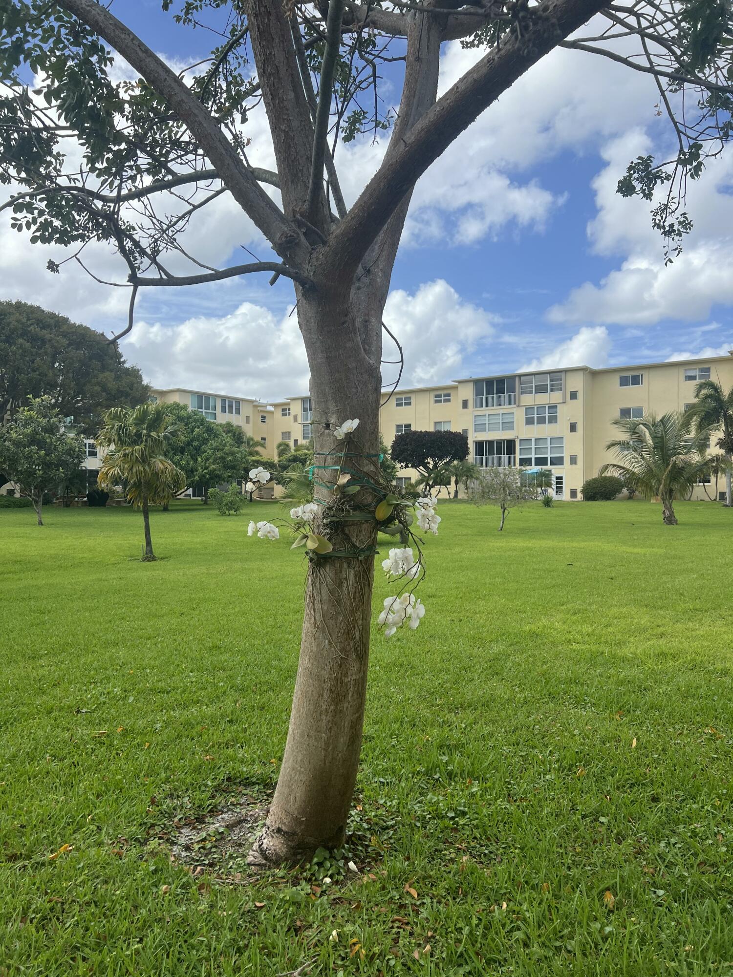 Village Royale - Residential