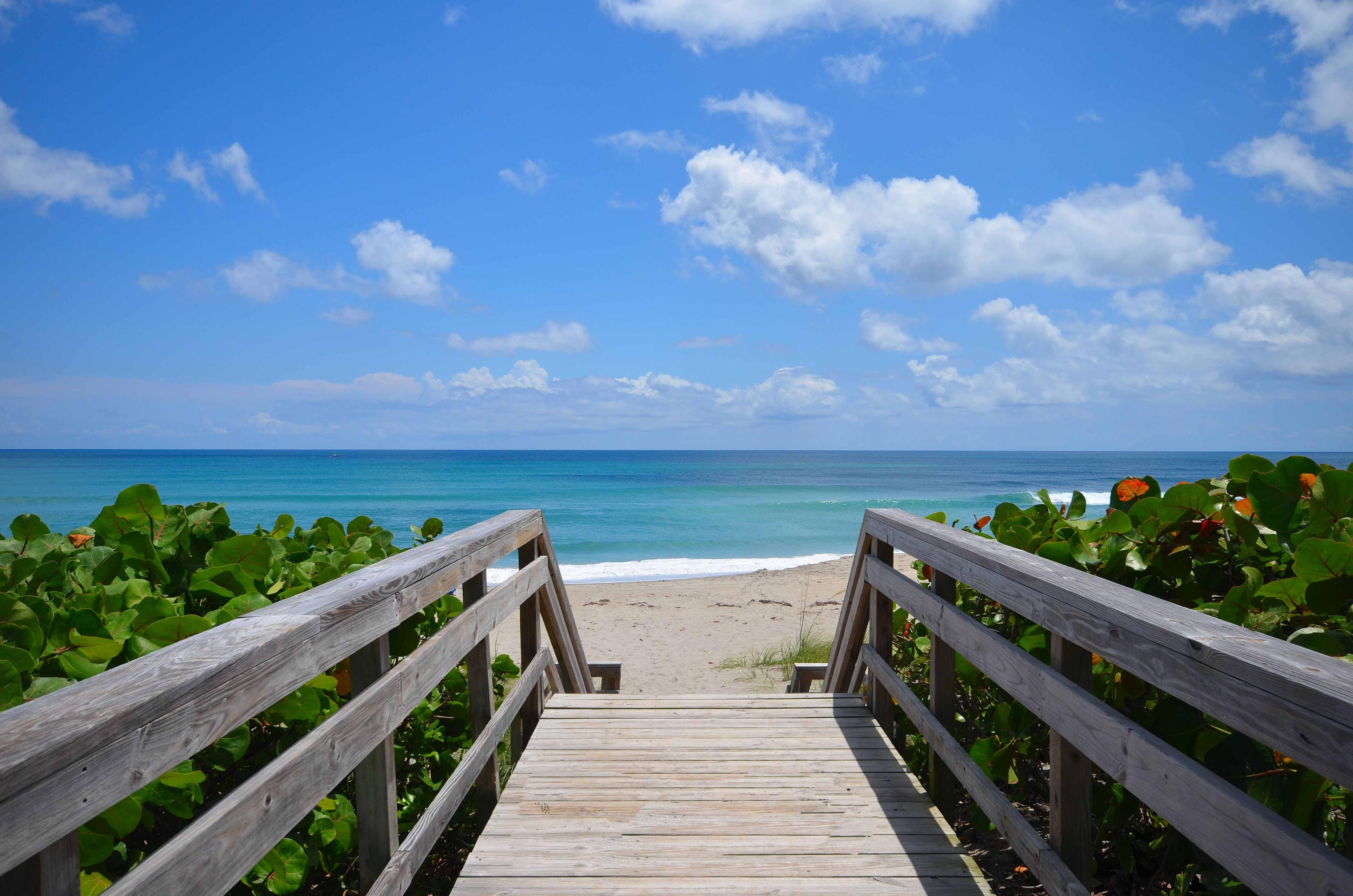 SEA OATS OF JUNO BEACH CONDO - Residential Lease