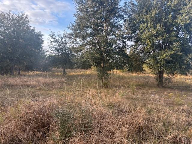 The Viking Estates - Land