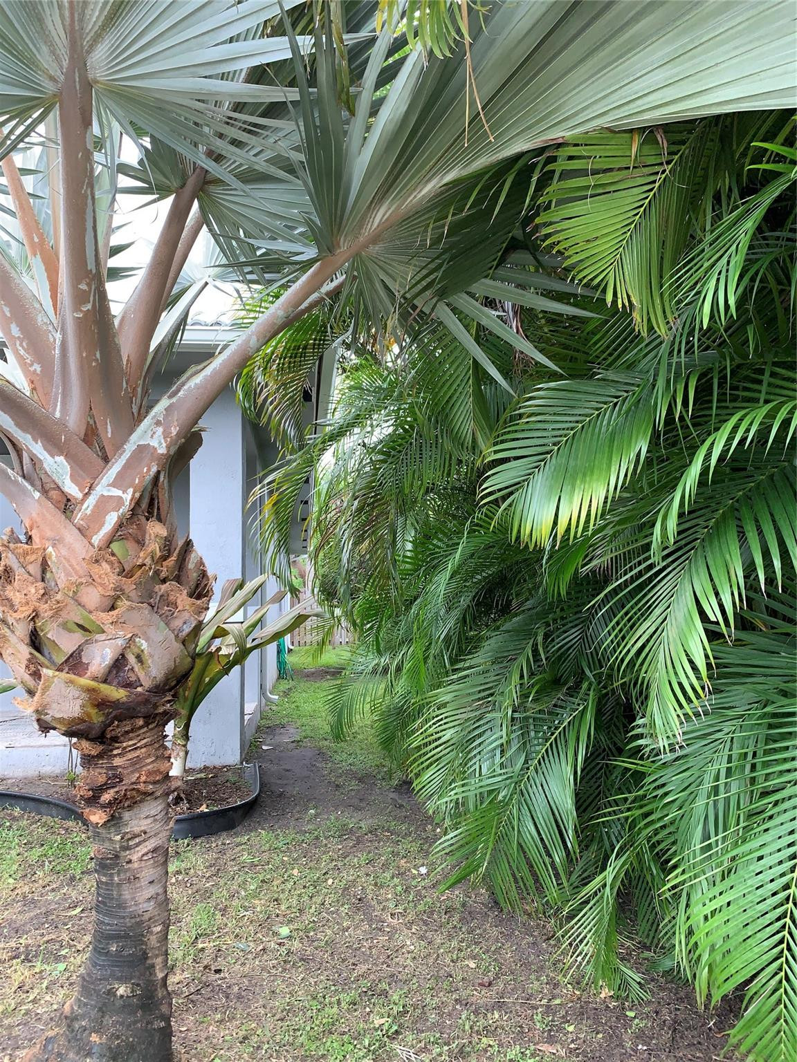 SE DANIA BEACH - Residential Lease