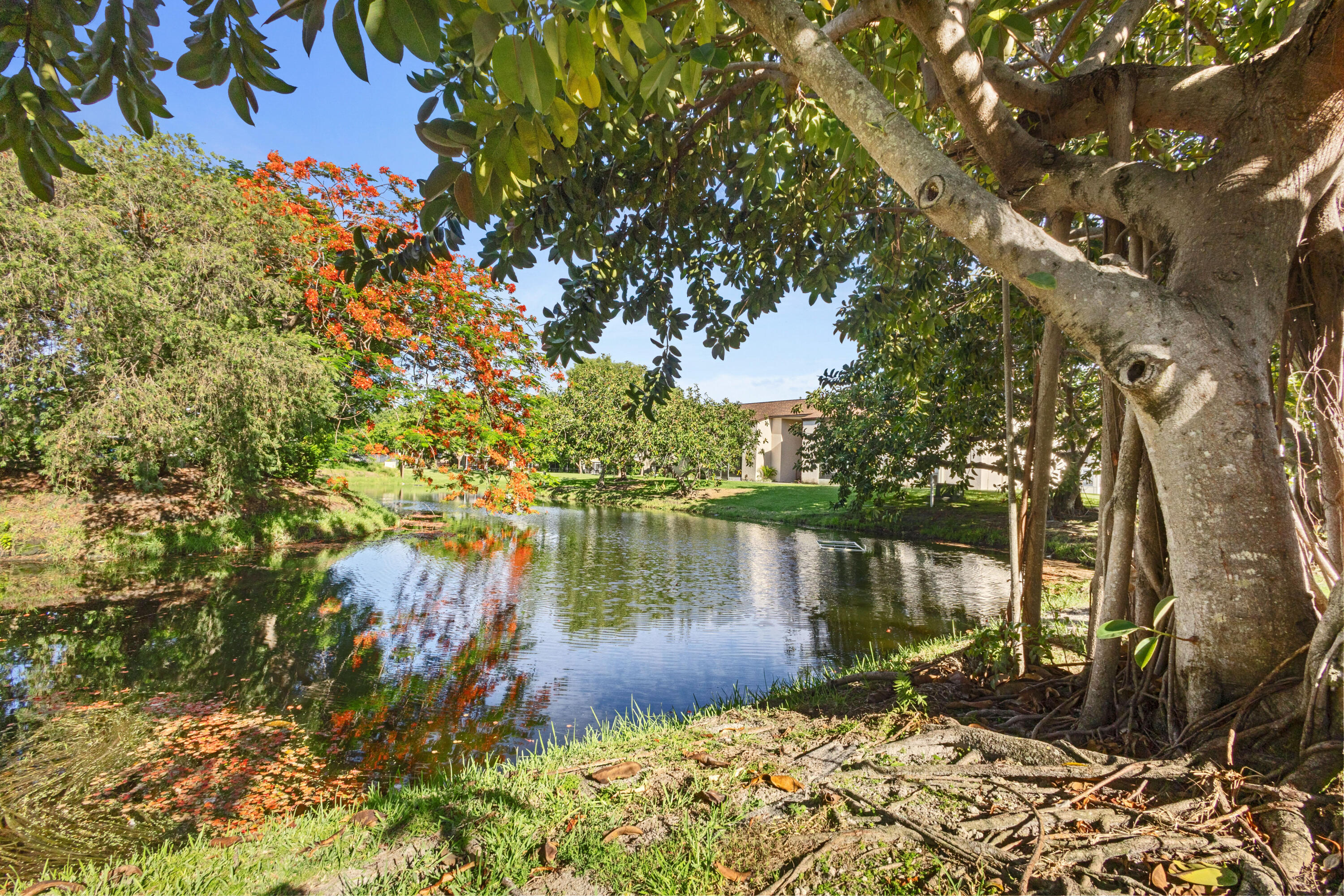 LAURELS AT MARGATE CONDO - Residential