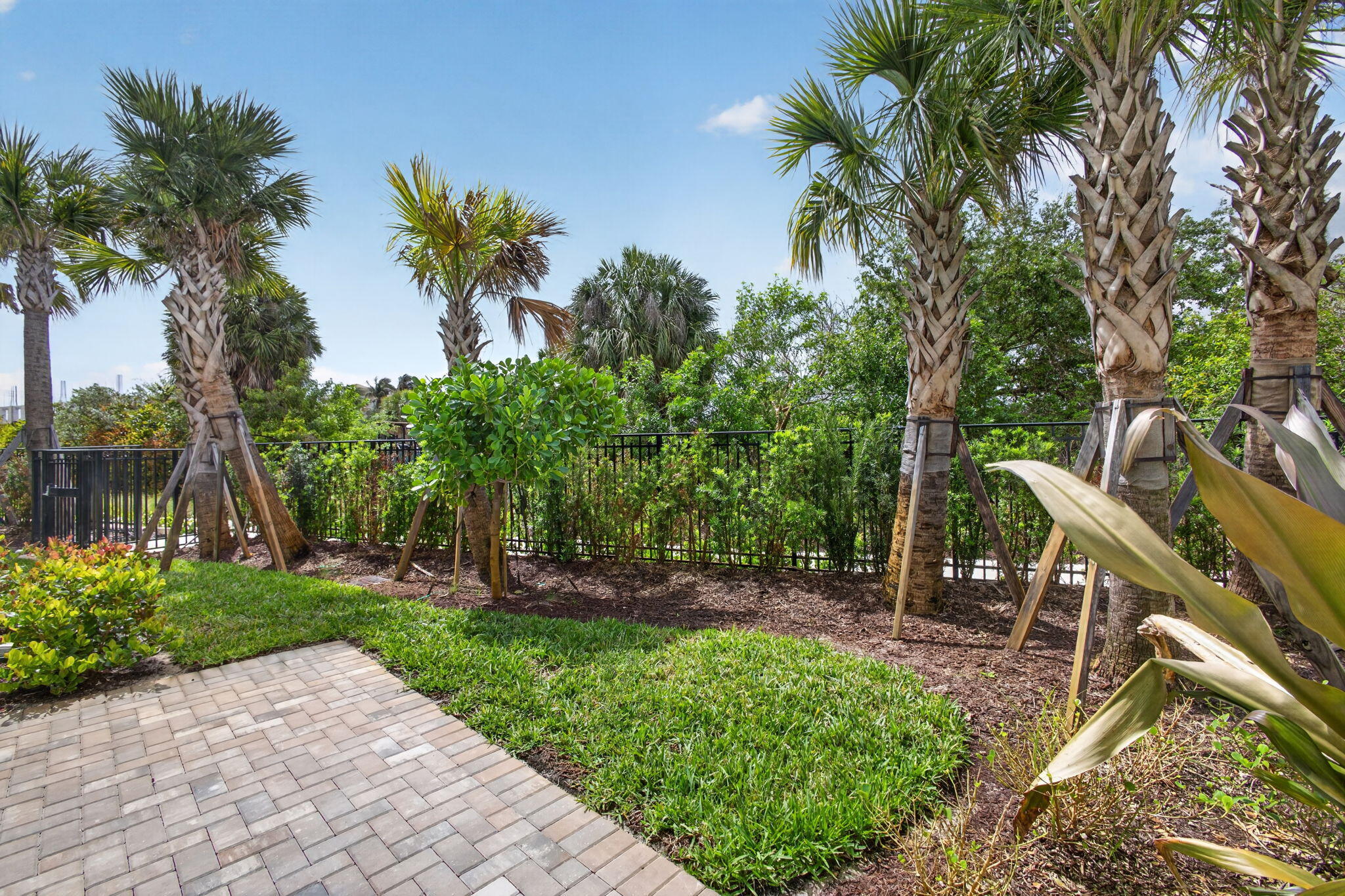 Water Pointe - Residential