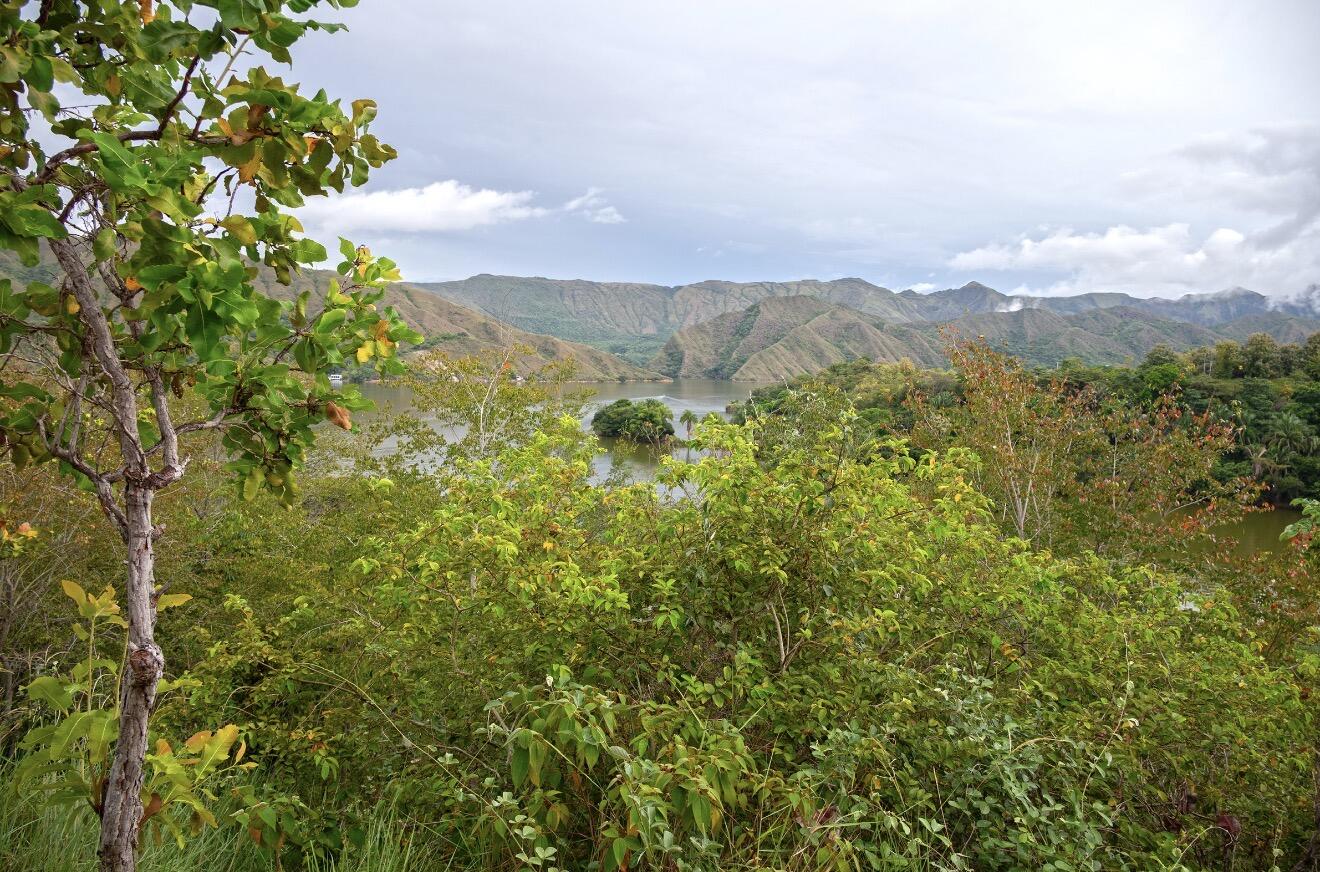 VEREDA TOMOGO - Residential