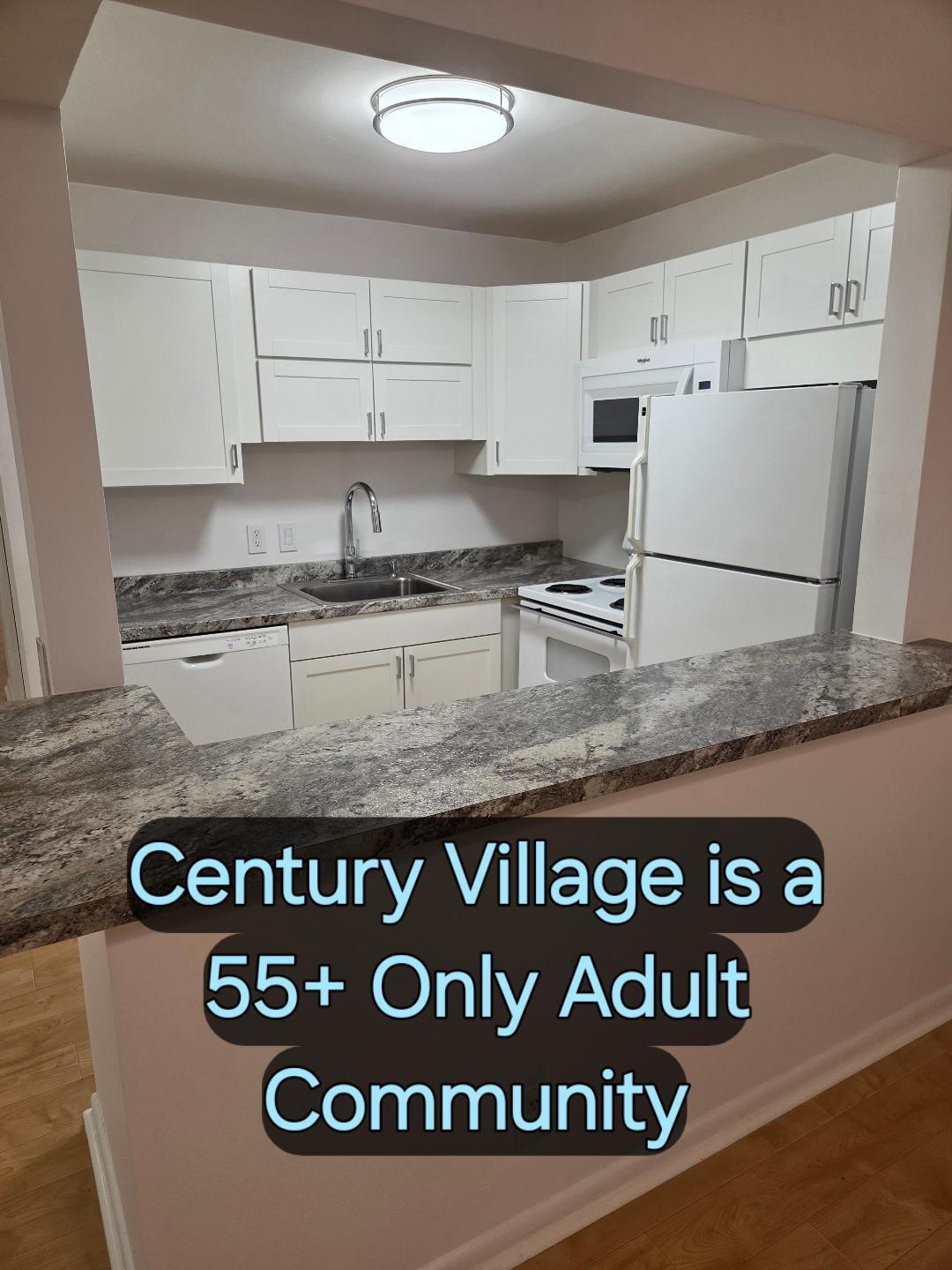 CENTURY VILLAGE- UPDATED CONDO +DISHWASHER & MICRO - Residential Lease