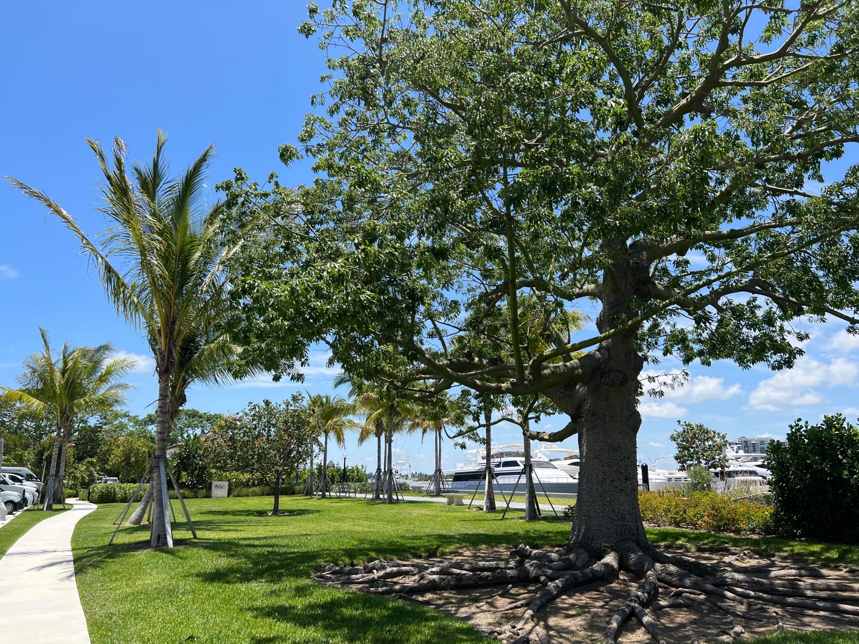 ROYAL PARK ADD TO P B - Land