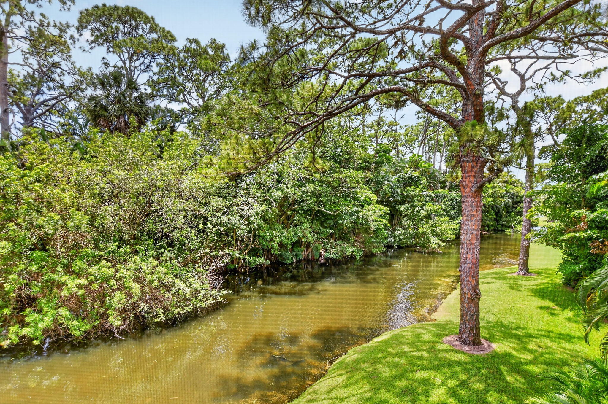 Plantation Colony - Residential