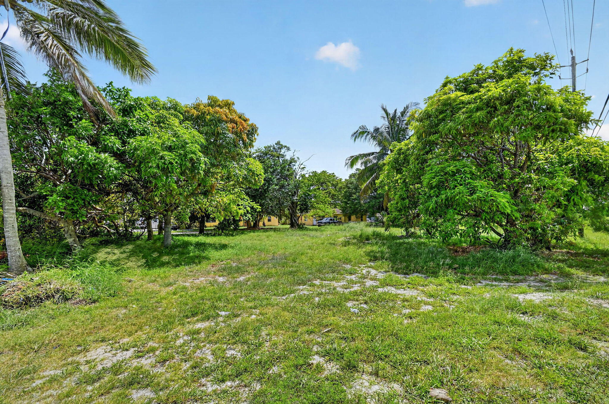 PALM BEACH FARMS CO 7 - Residential Income