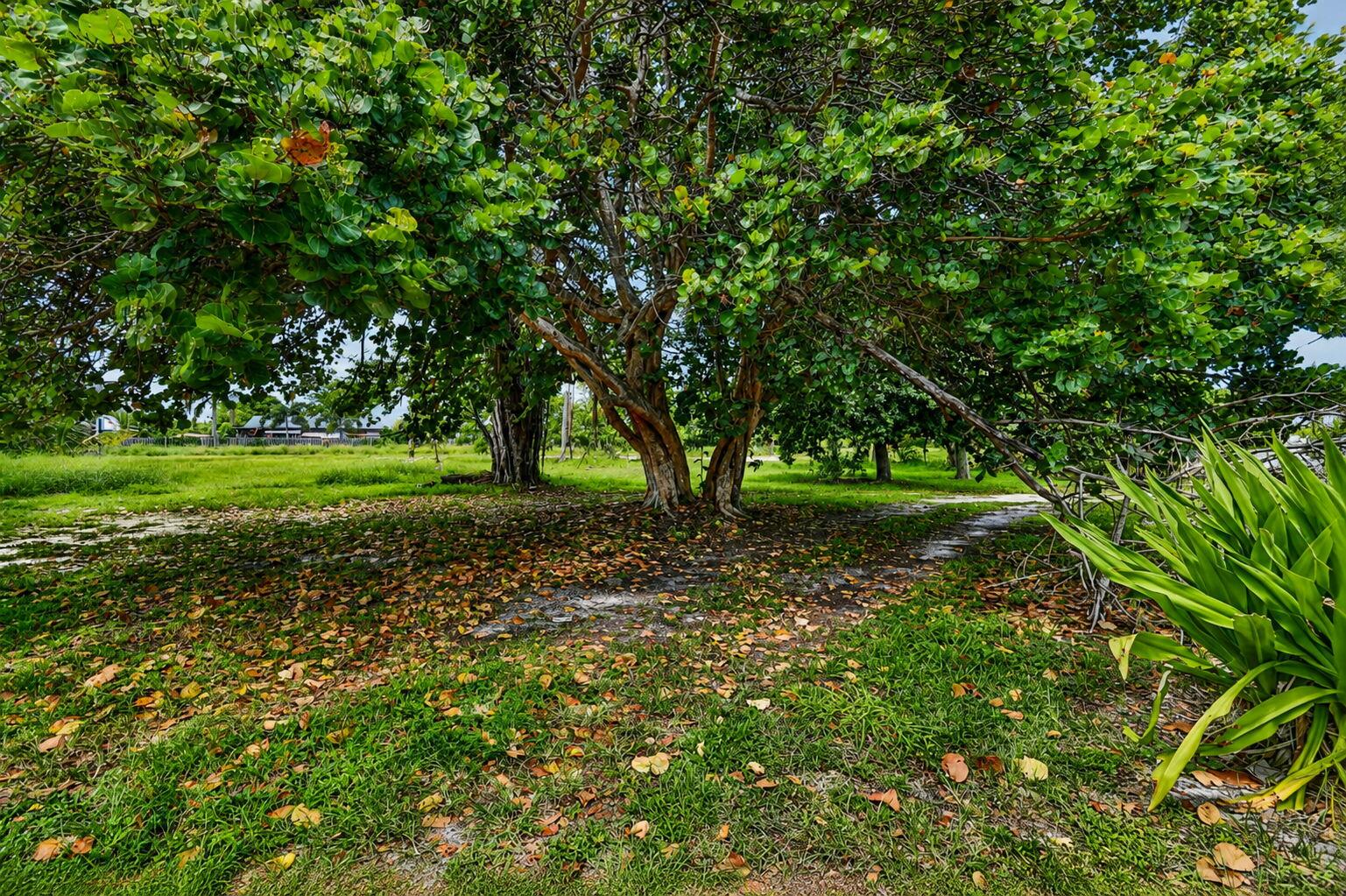 PALM BEACH FARMS CO 7 - Residential Income