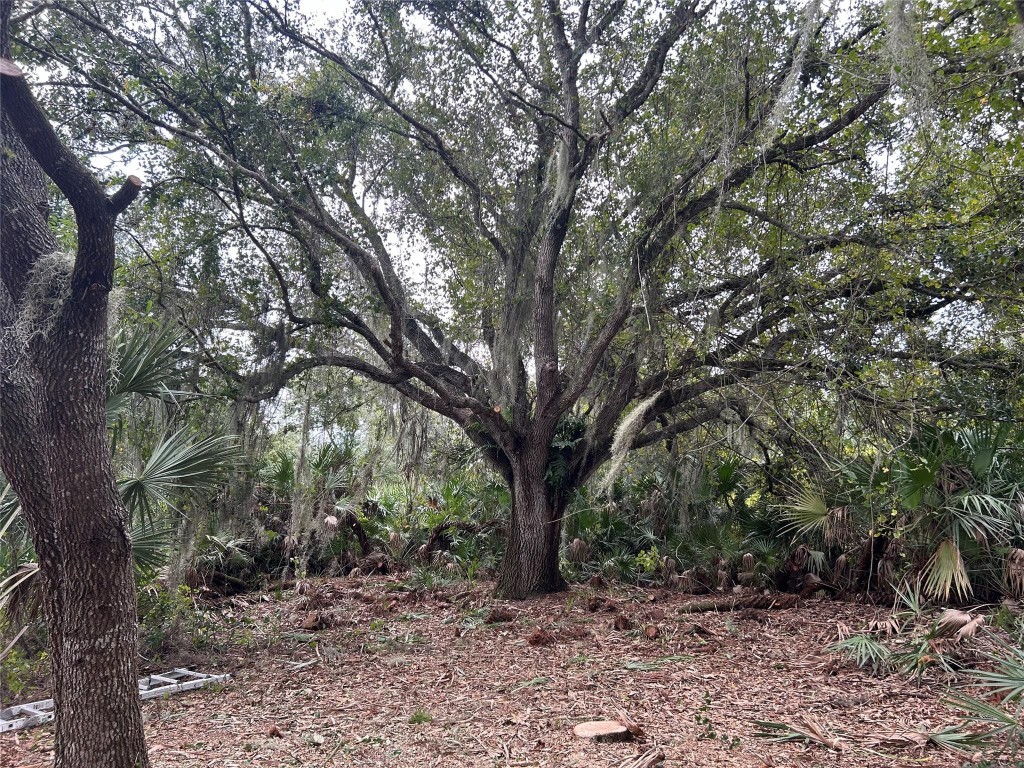 Southern Colonization Co - Land