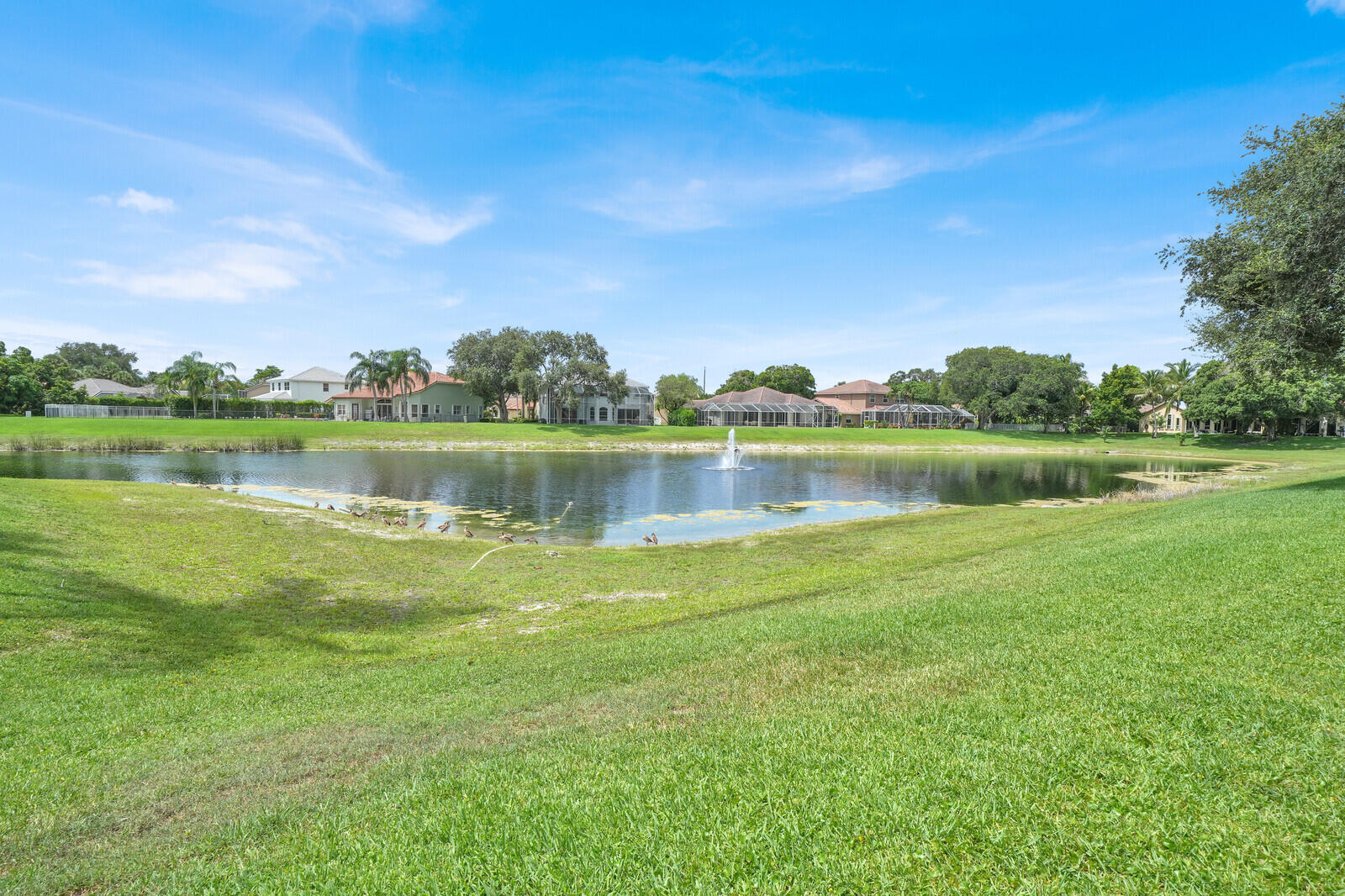 LEXINGTON HOMES ESTATES - Residential
