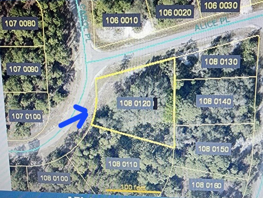 This spacious vacant lot offers an incredible opportunity for buyers to design and build the home of their dreams. Situated on a .39-acre corner lot, this property provides ample space for various construction options. The parcel has electricity access available; a well and septic system are required. One of the standout features of this property is its freedom from HOA fees. Located in the thriving community of Lehigh Acres, the area is experiencing steady growth with new homes and developments, reflecting its increasing popularity and investment potential. Conveniently positioned between two of Florida's most sought-after beach destinations—Naples and Fort Myers- this location has it all. LET'S TALK!!!