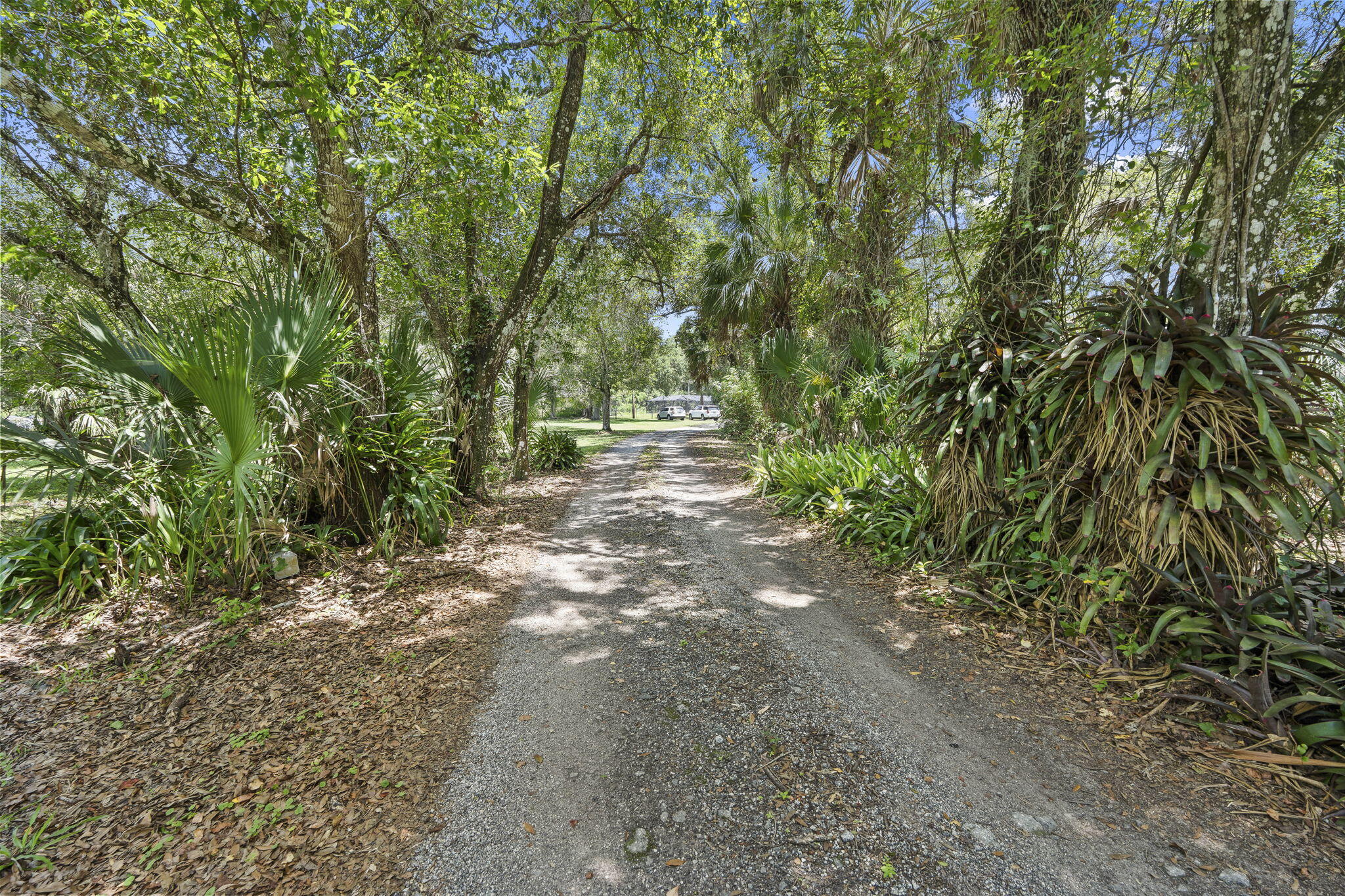 HATTIE CHAMBERLAIN SUBDIVISION - Residential