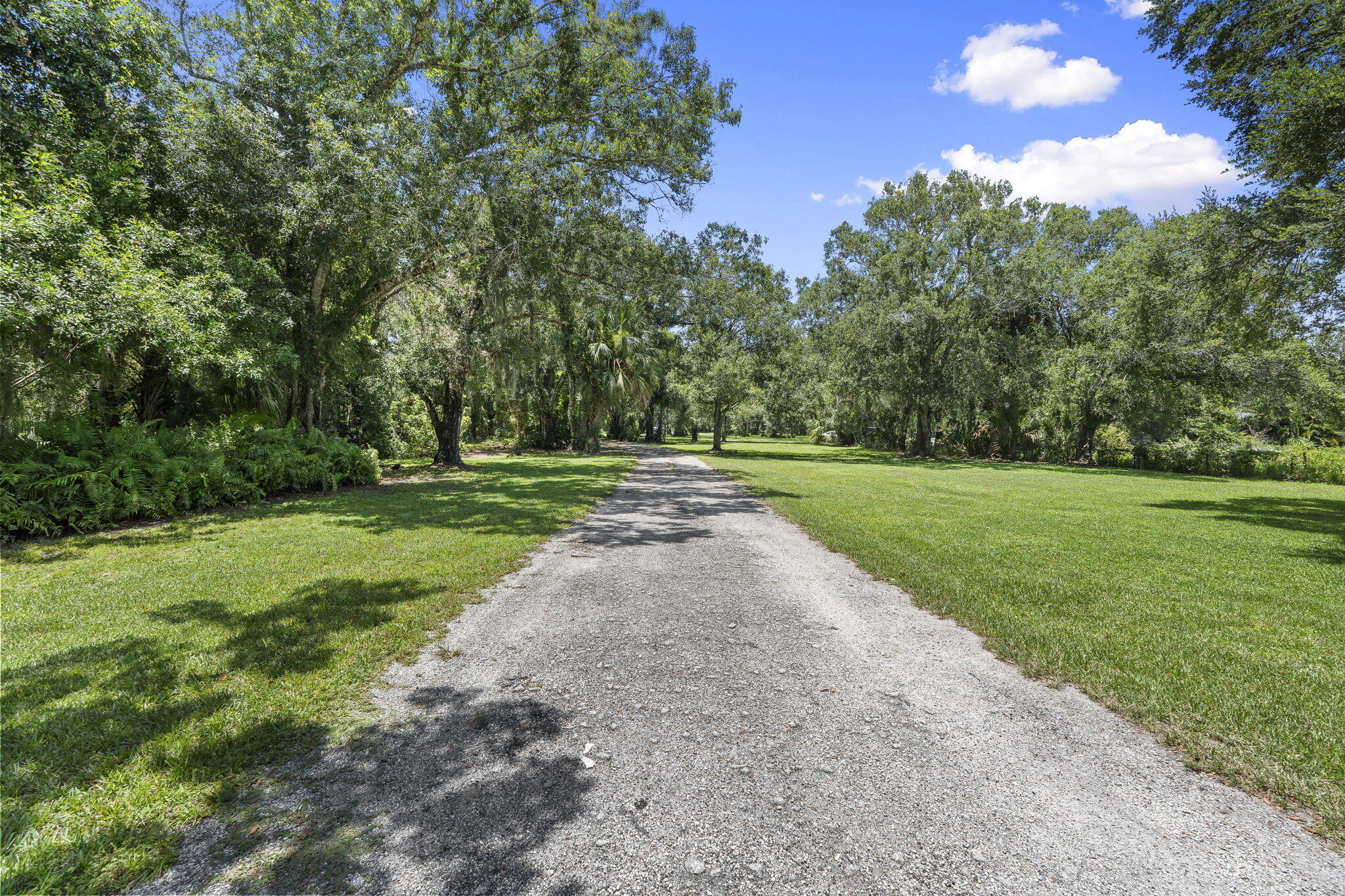 HATTIE CHAMBERLAIN SUBDIVISION - Residential