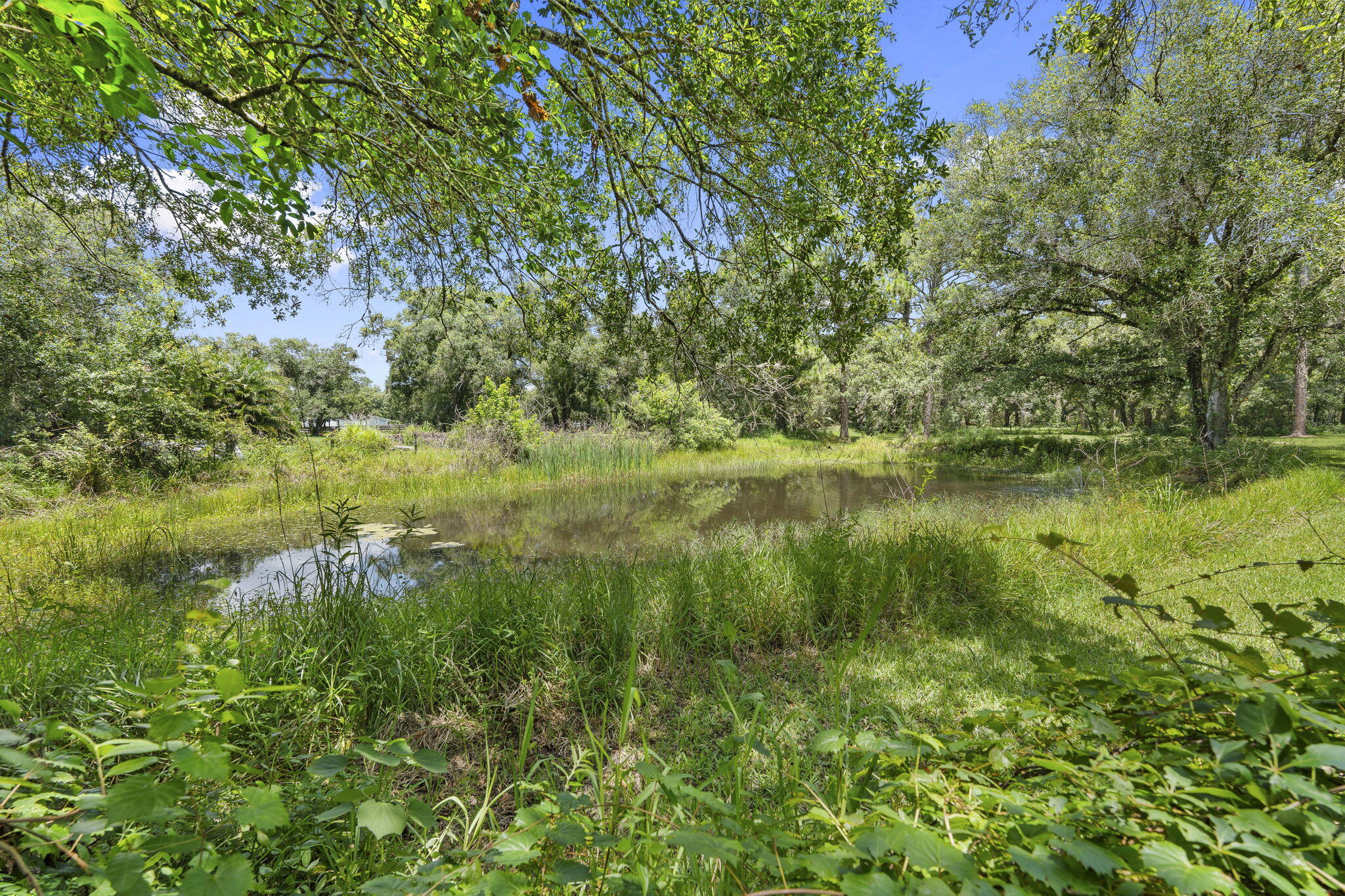 HATTIE CHAMBERLAIN SUBDIVISION - Residential