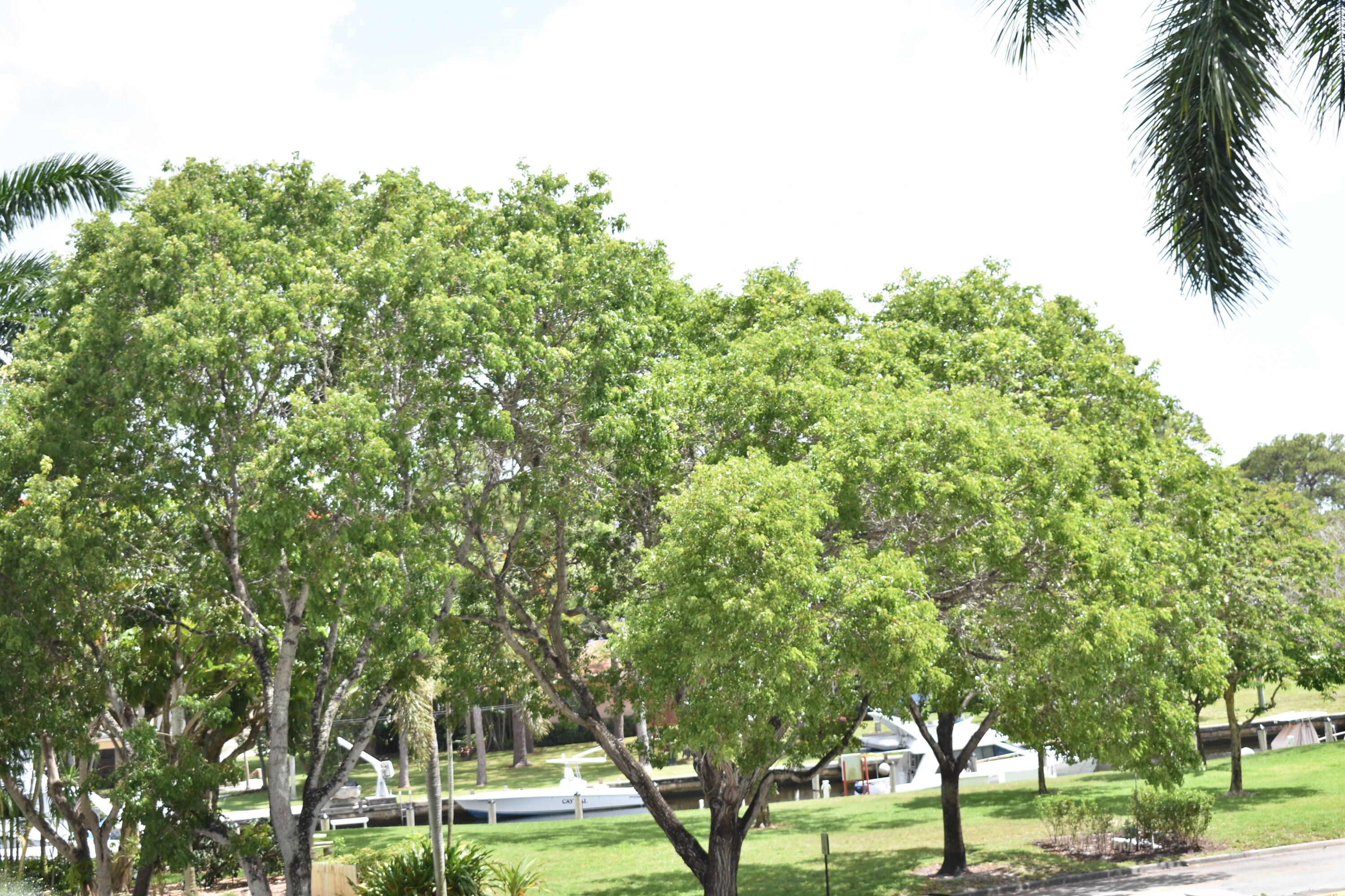 RIVER REACH CONDOMINIUM III - Residential