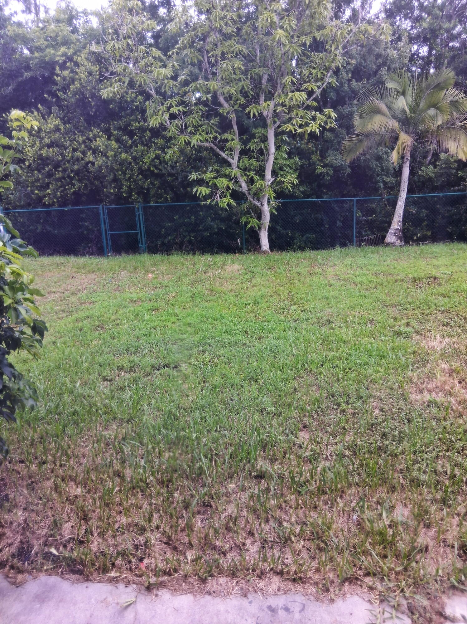 CHAPEL TRAIL REPLAT - Residential Lease