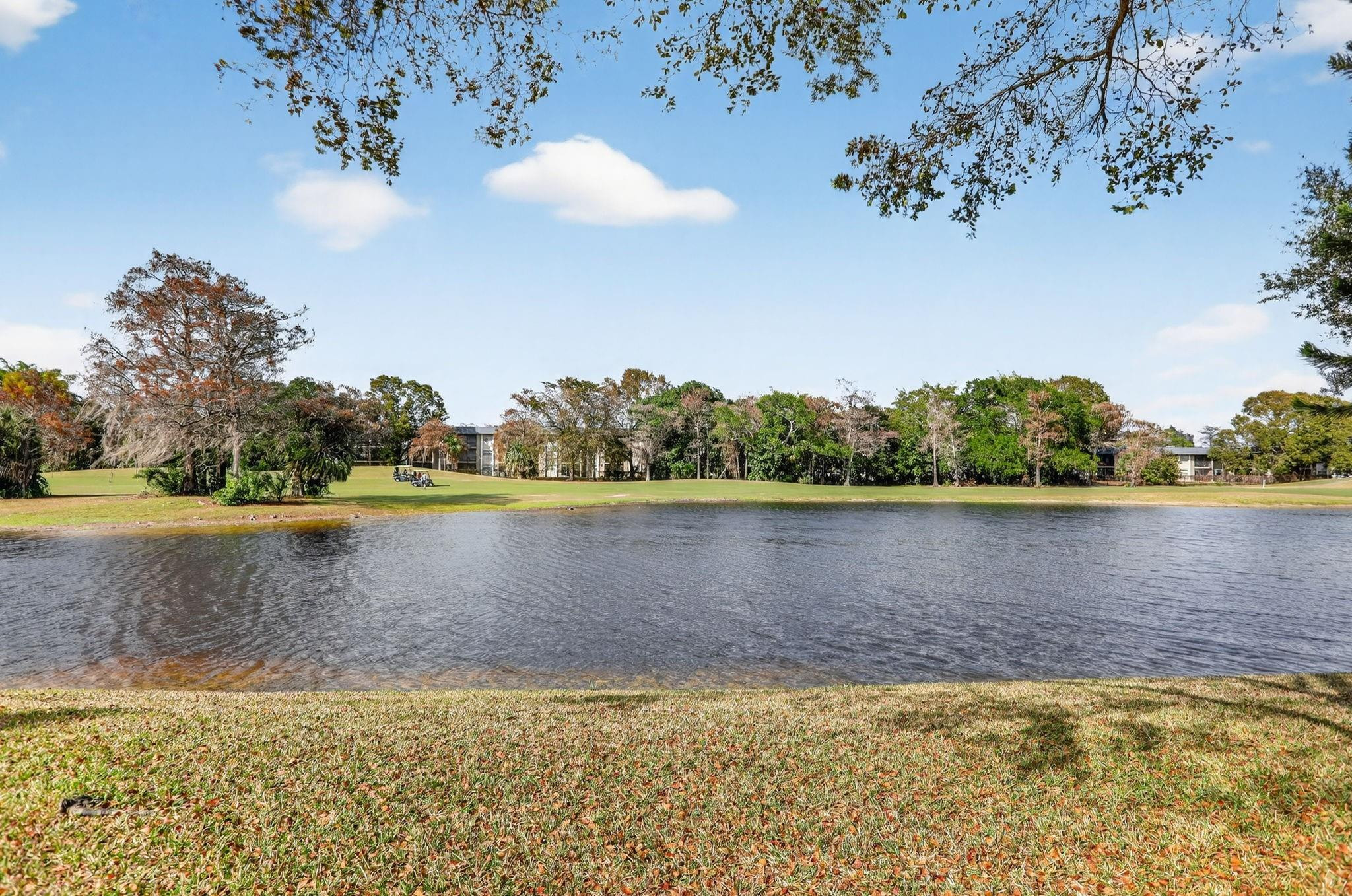 Waterside/Edgewater - Residential
