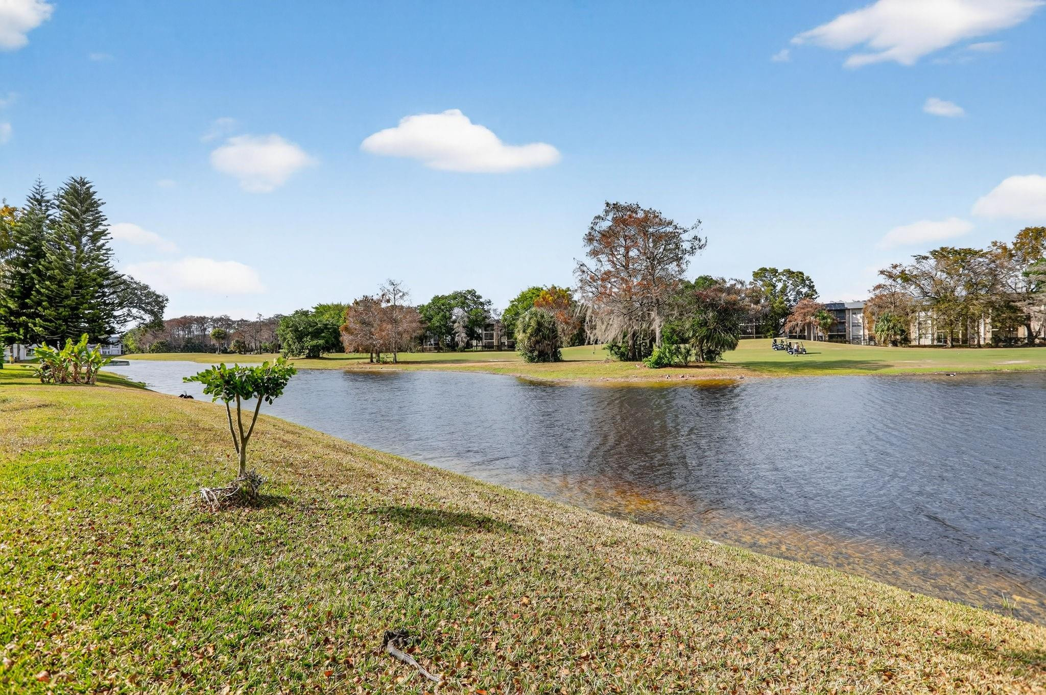 Waterside/Edgewater - Residential