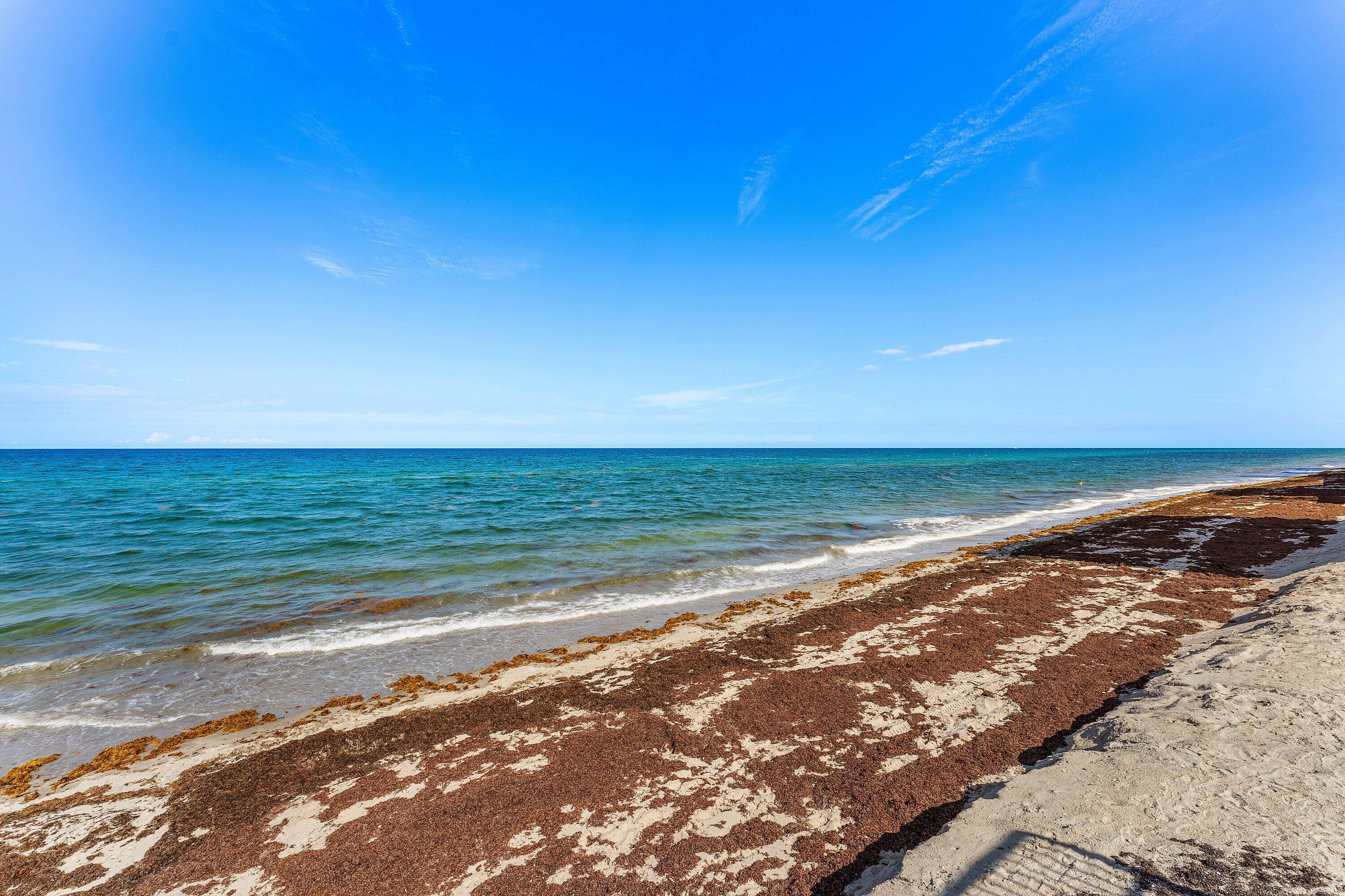 PALM BEACH HARBOUR CLUB CONDO - Residential