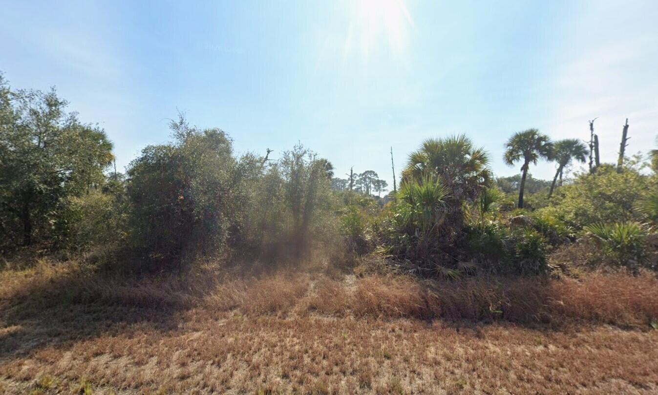 Build your Florida dream on this desirable homesite located at 133 Apollo Ave in Banyan Village! This spacious vacant lot offers a great opportunity for new construction in a growing area of Port LaBelle. Situated on a quiet street with easy access to main roads, this property provides a peaceful setting while still being conveniently close to shopping, dining, and schools. Enjoy the flexibility of designing your own home with plenty of space for outdoor living, a pool, or additional structures. No HOA means fewer restrictions and more freedom to build at your pace. Ideal for investors, builders, or anyone looking to secure land in a developing community. Don't miss your chance to own land in Banyan Village—an up-and-coming area with strong future potential!